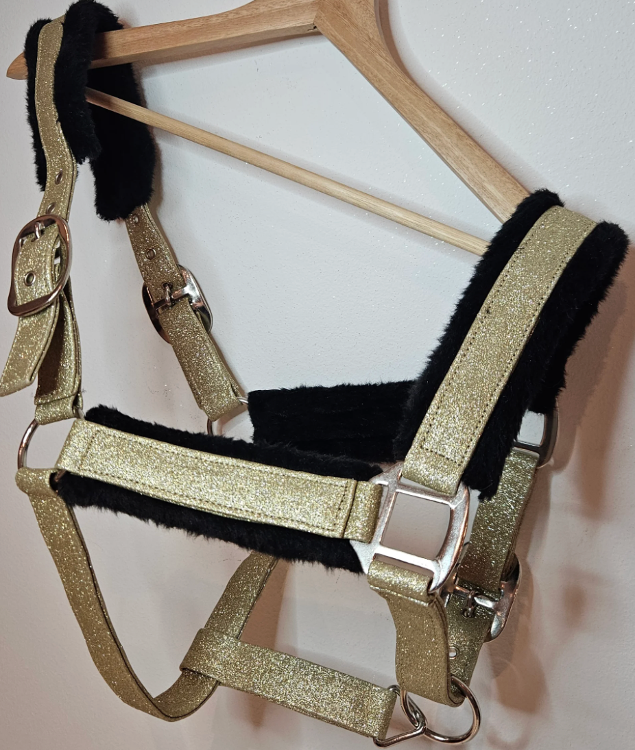 Horse Bling Design Glimmer Grime m. Lam