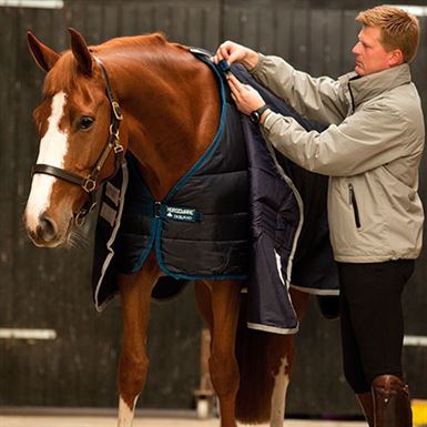 Horseware Liner 100 Gram