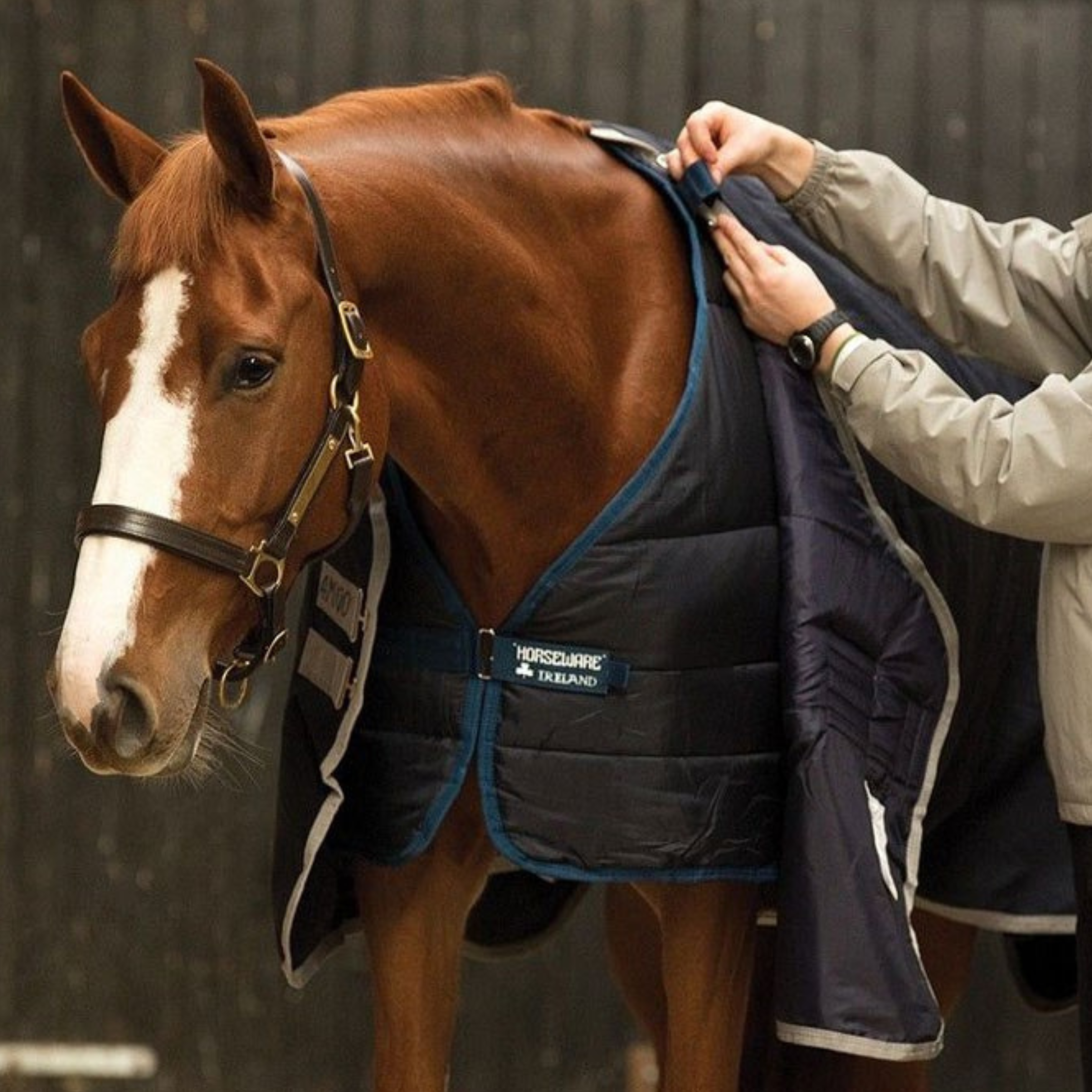 Horseware Liner 400 Gram
