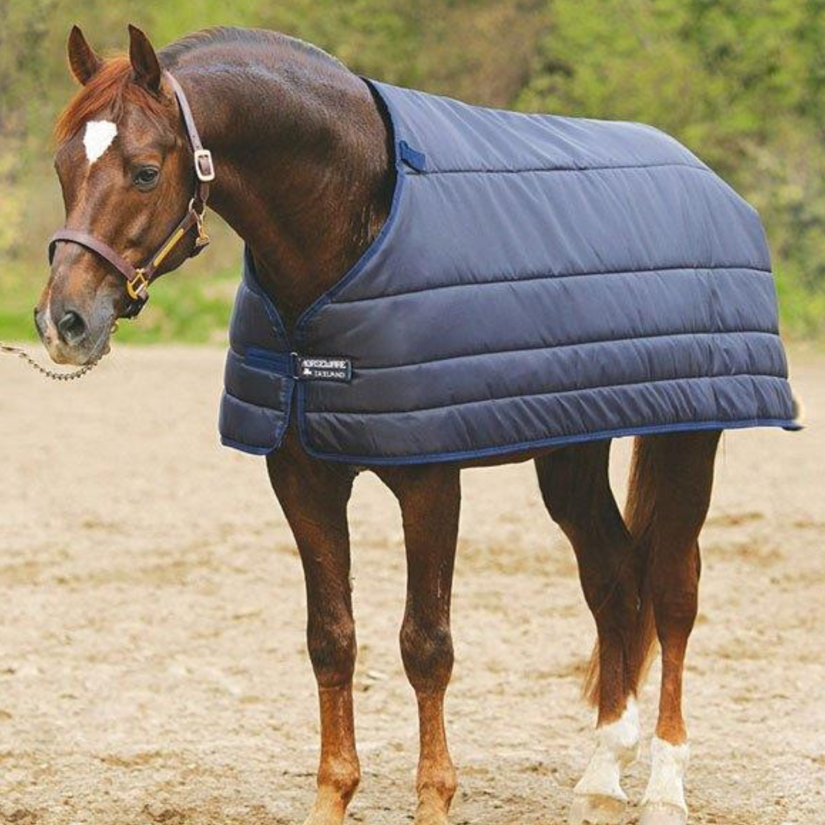 Horseware Liner 100 Gram