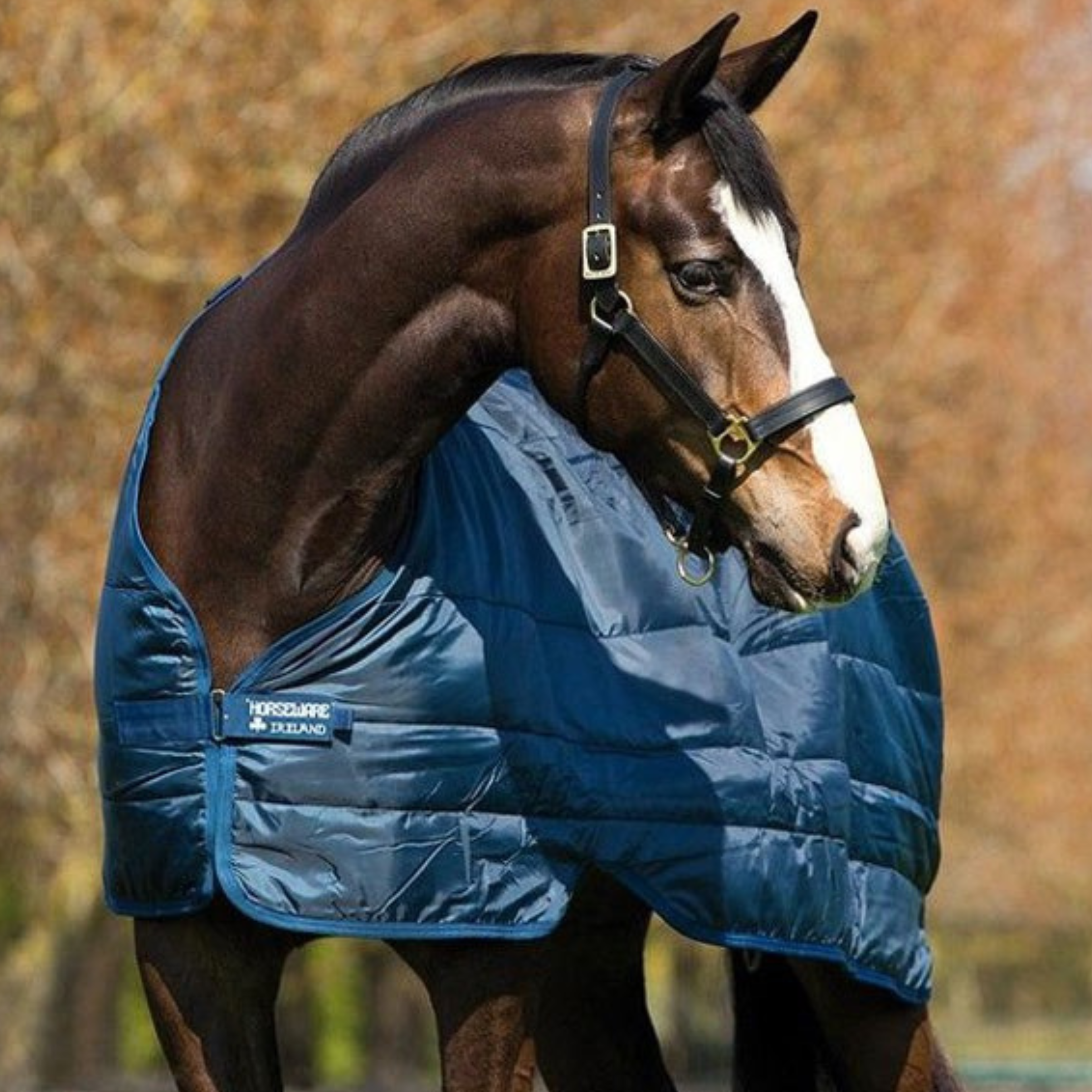 Horseware Liner 400 Gram