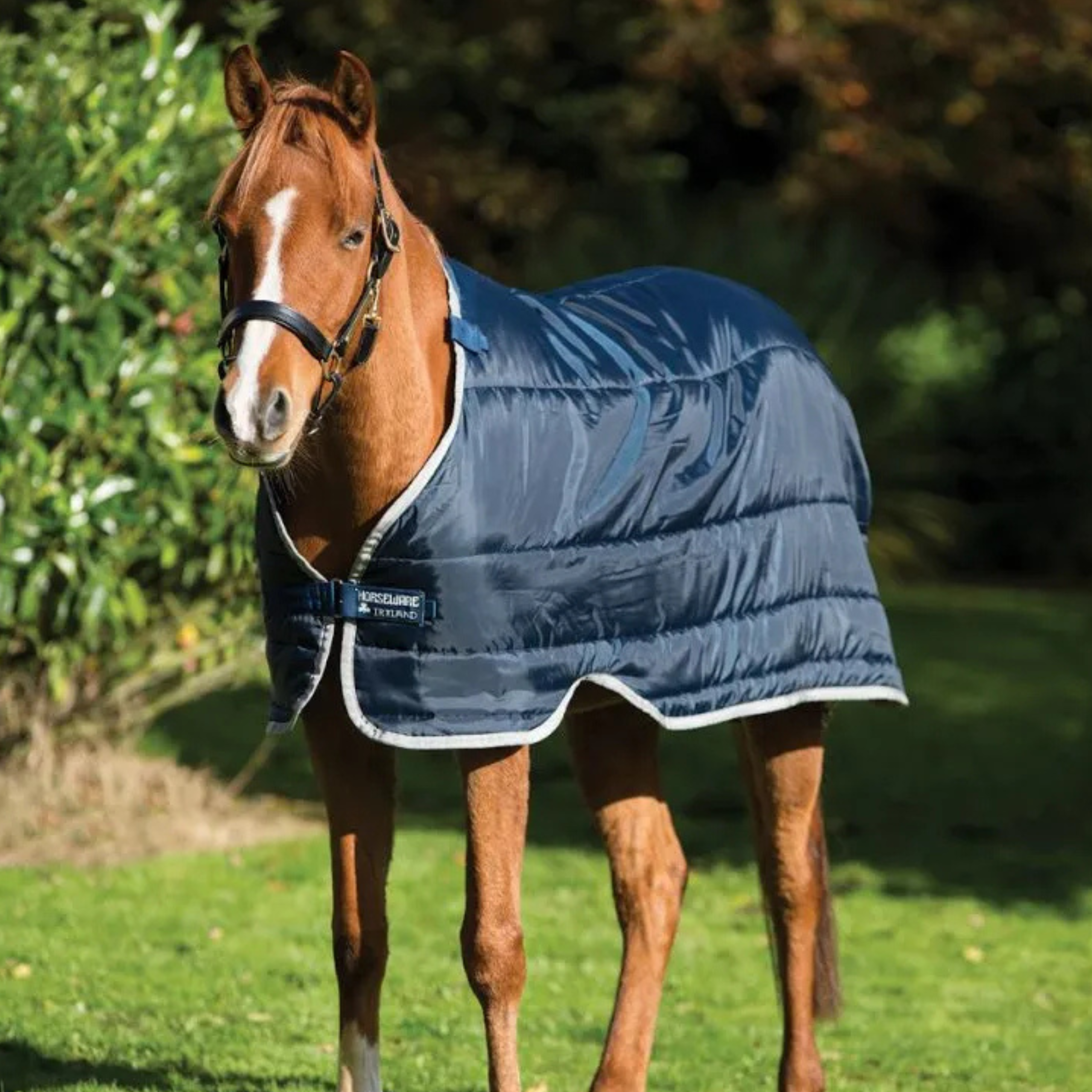 Horseware Pony Liner 100 Gram