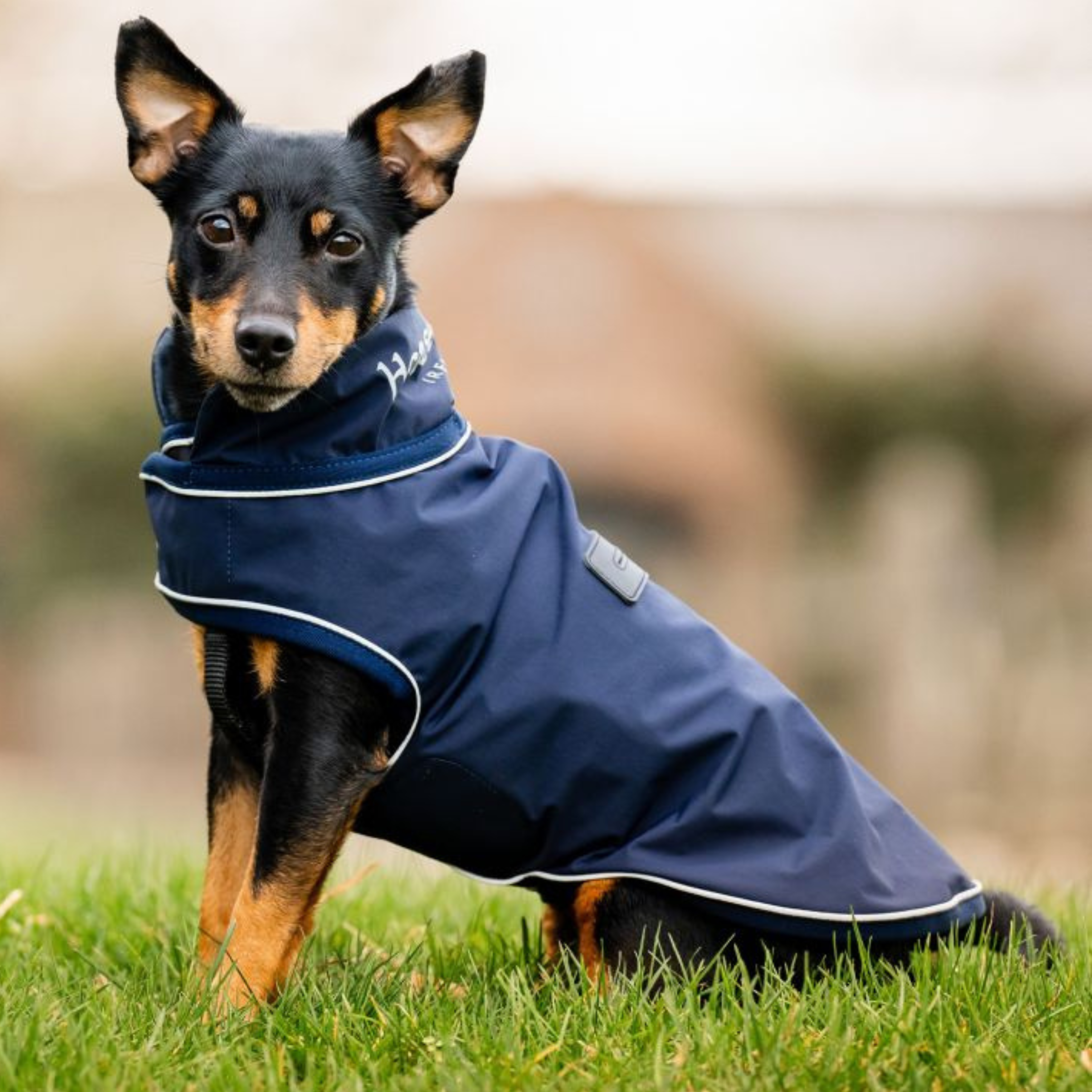 Horseware Signature Hunde Regndækken - Navy