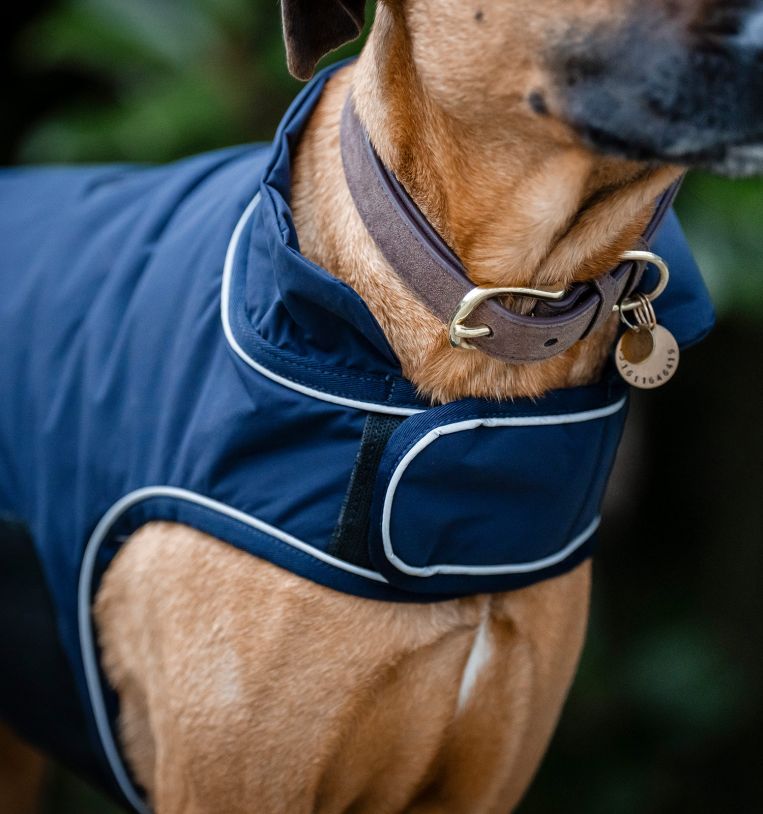 Horseware Signature Hunde Regndækken 100g