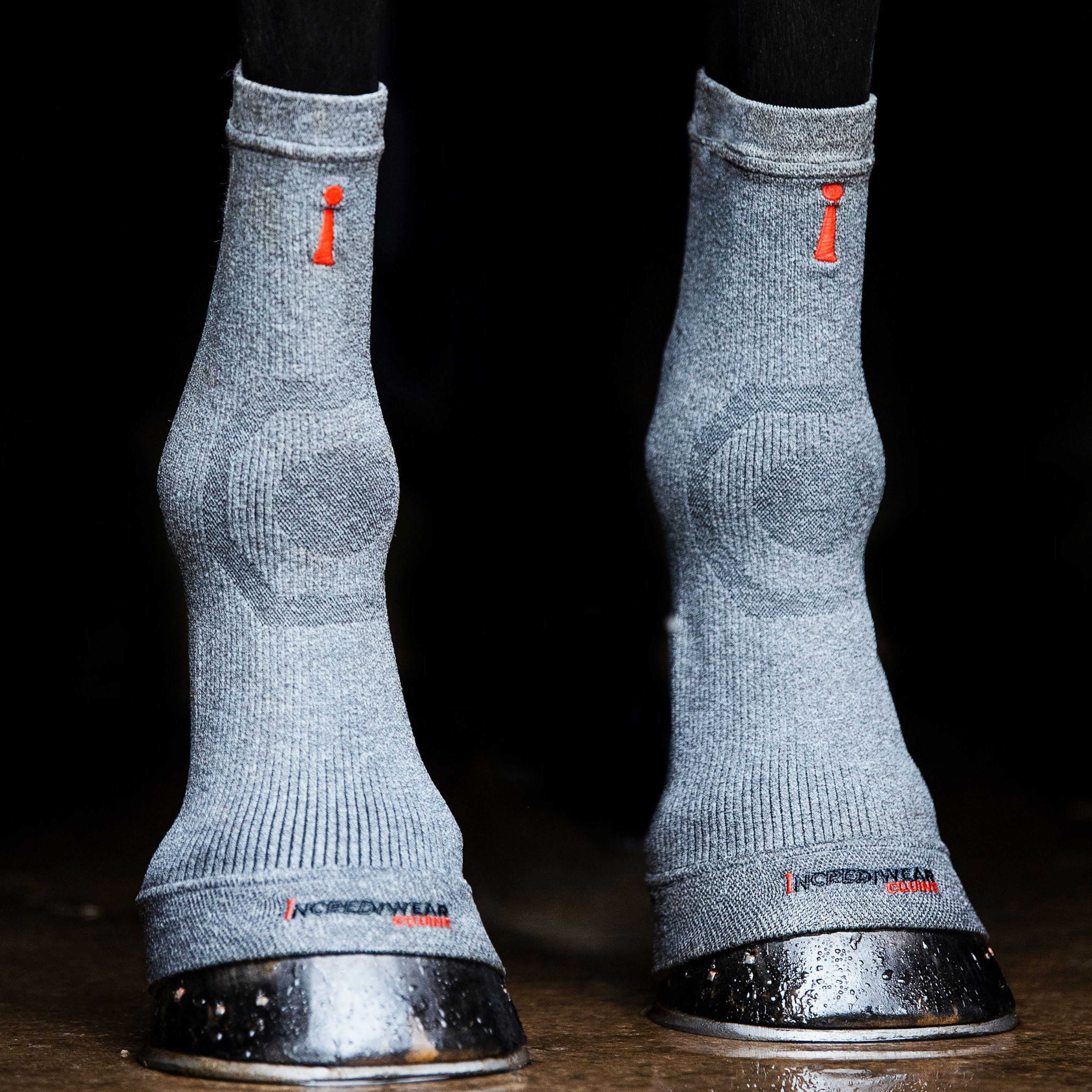 Incrediwear Circulation Hoof Socks, Par - Grå