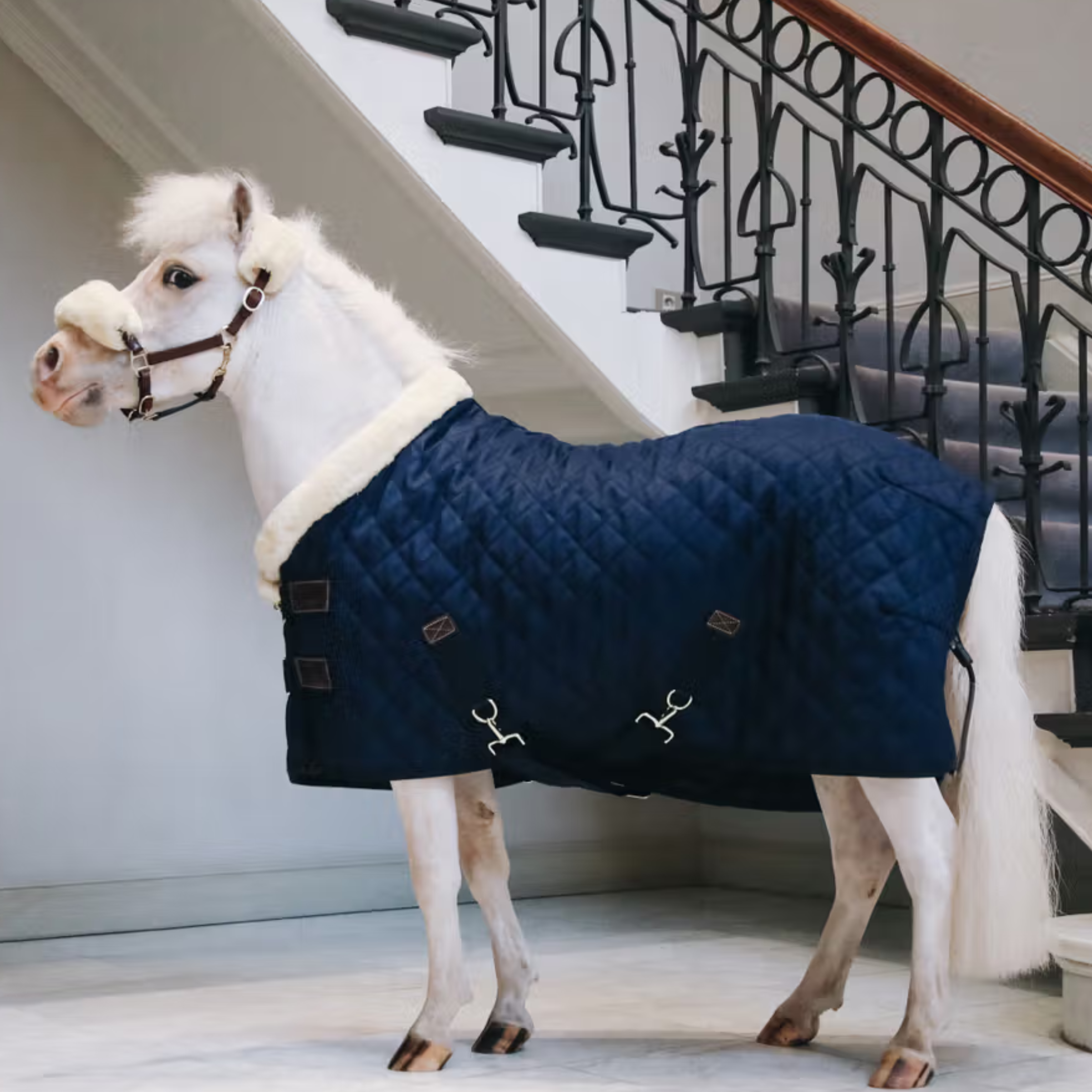 Kentucky Show Dækken Tiny 160 g - Navy