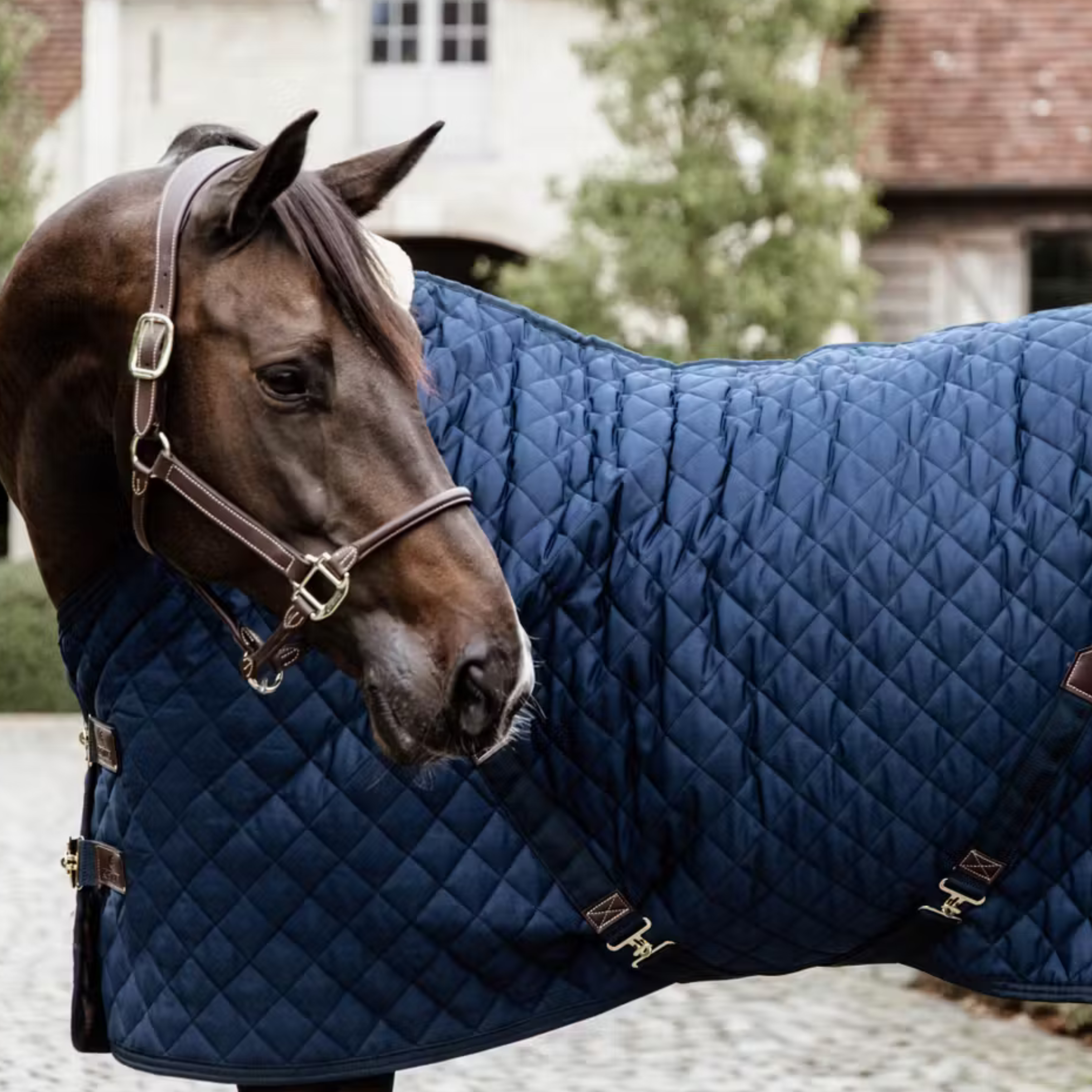 Kentucky Stalddækken 200g - Navy