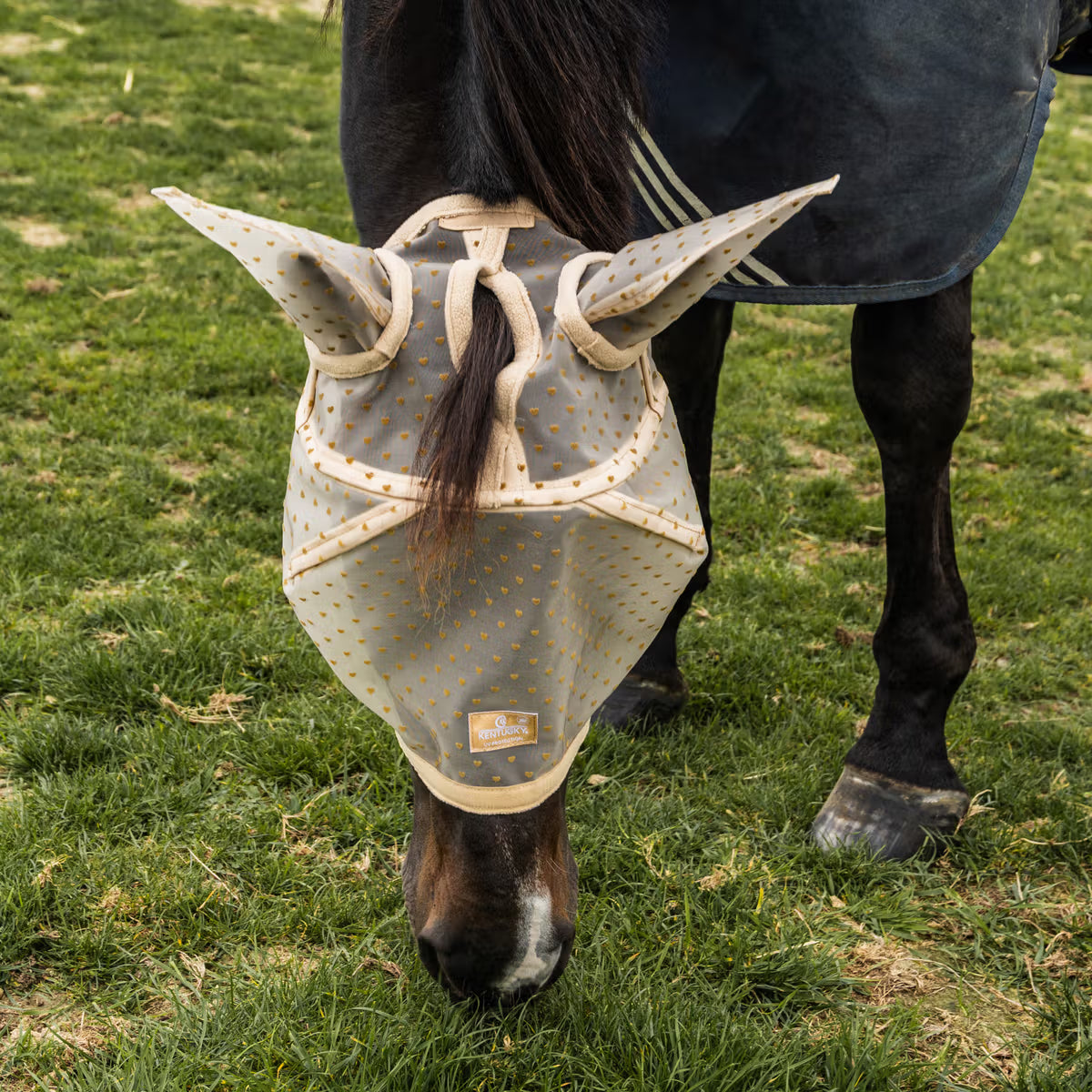 Kentucky Hjerte Fluemaske m. Aftagelig Mule