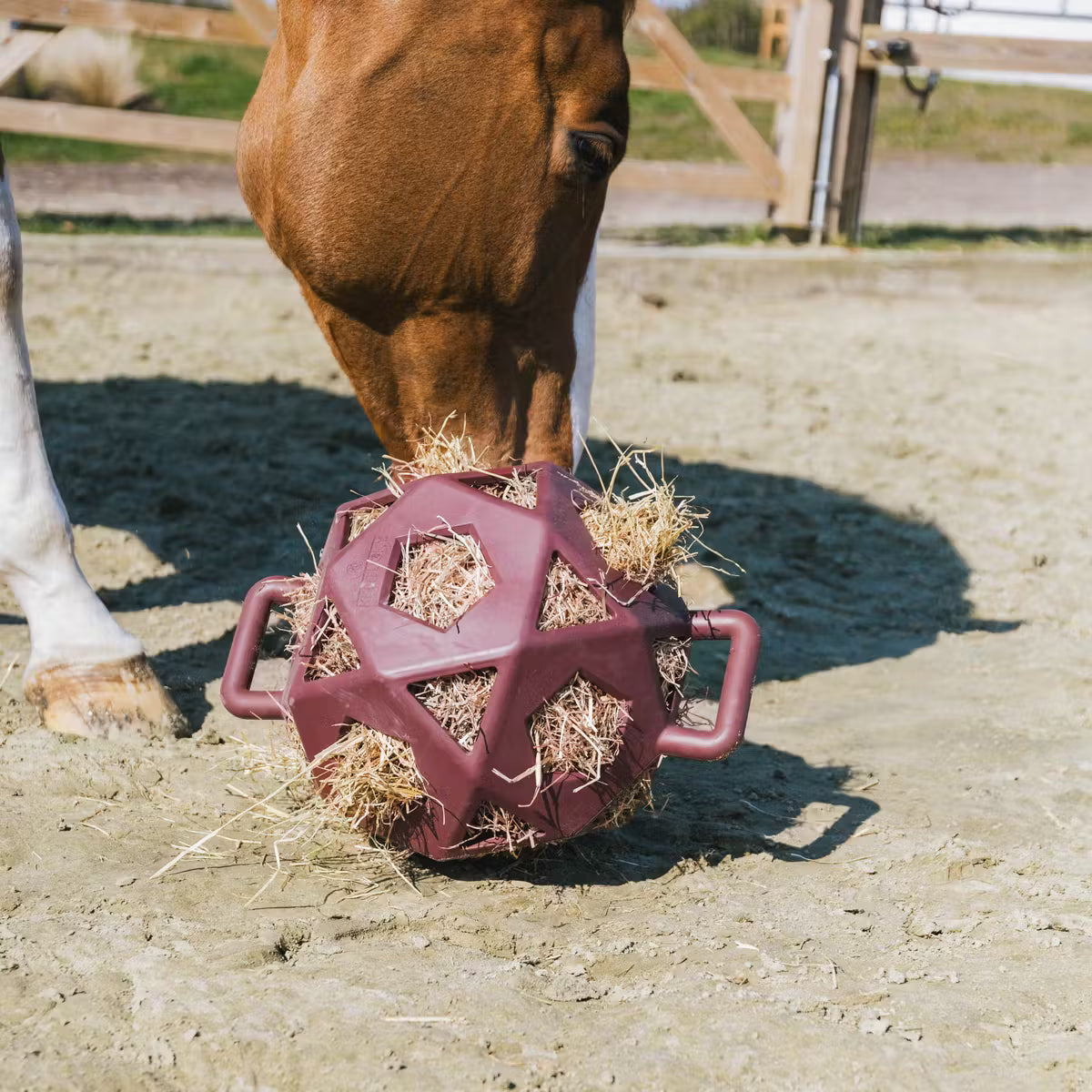 Kentucky Høbold - Bordeaux