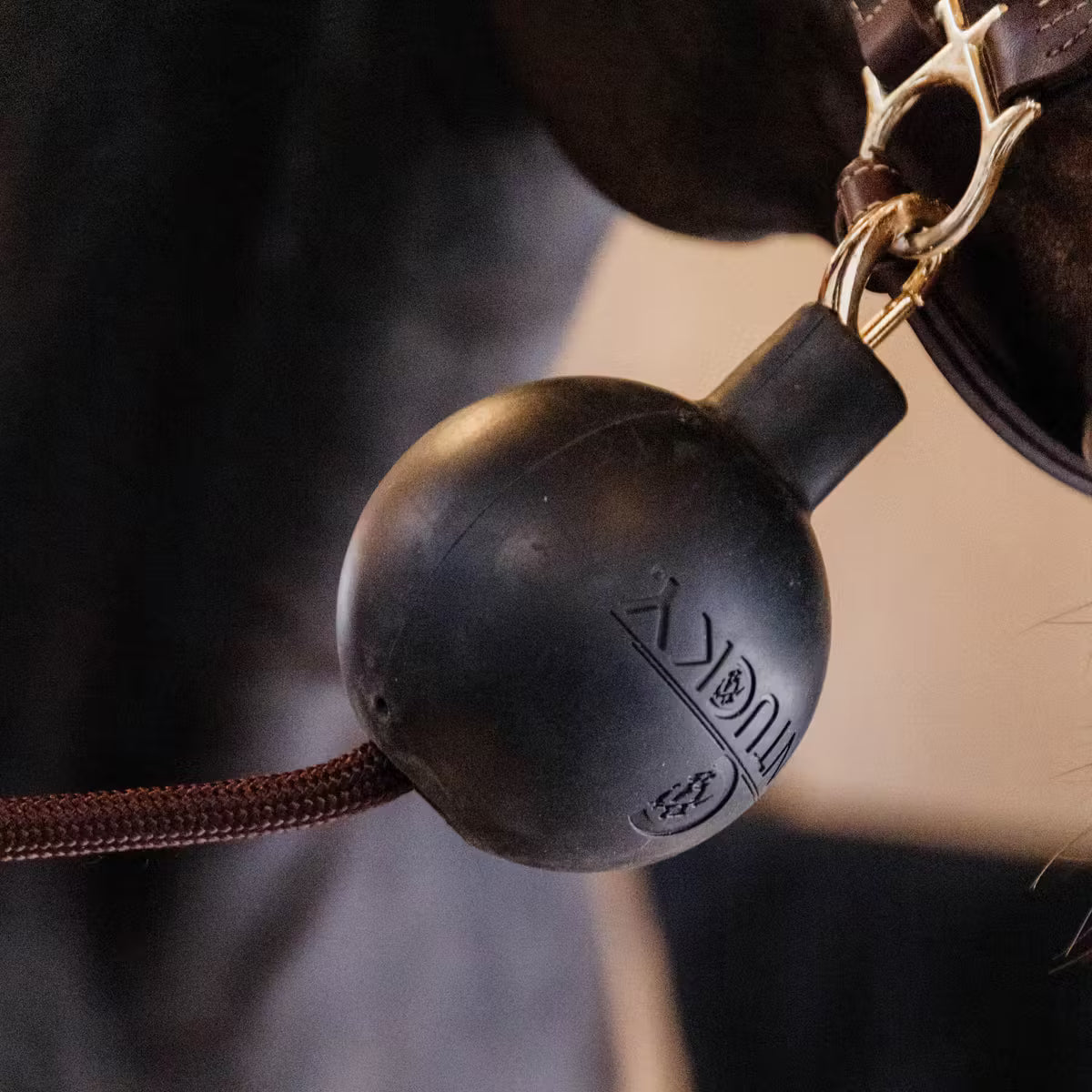 Kentucky Lead & Wall Rubber Ball - Sort