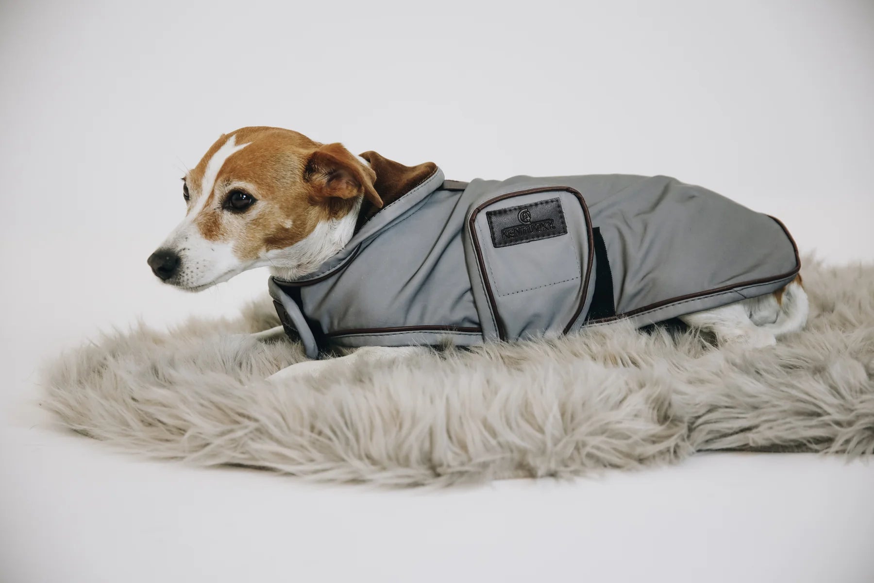 Kentucky Reflective og Water Repellent Hundedækken - Silver