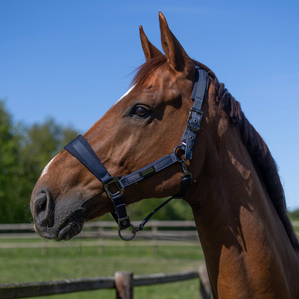 Kingsland Lucca Grime Med Træktov