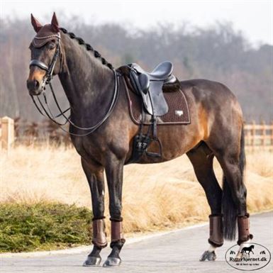Lemieux Puissance Suede Dressurunderlag - Brun