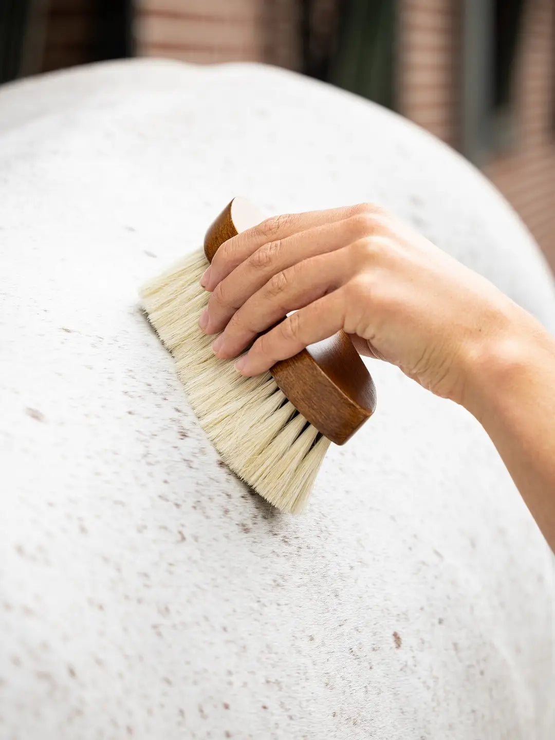 LeMieux Deep Clean Dandy Børste