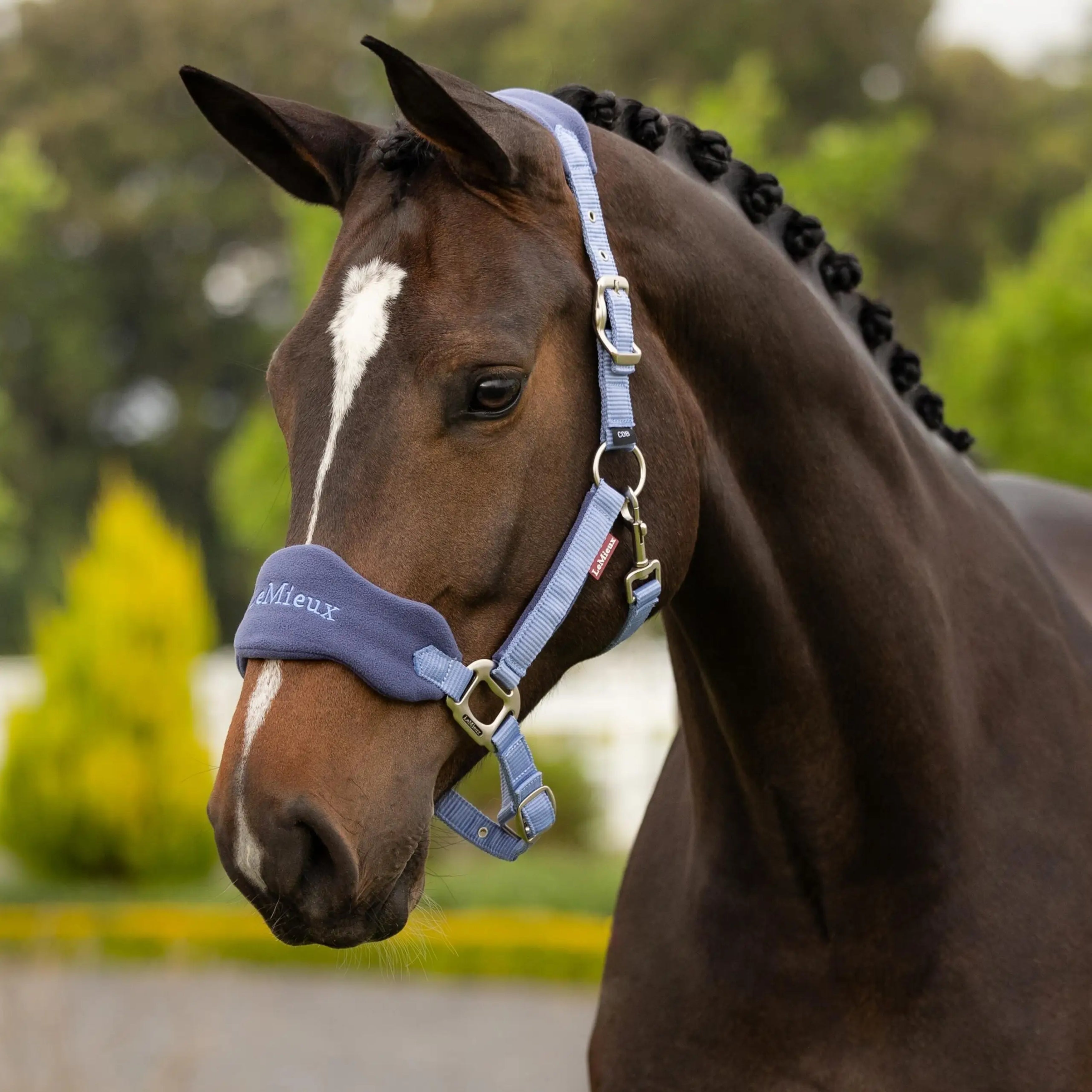 LeMieux Vogue Grime og Træktov