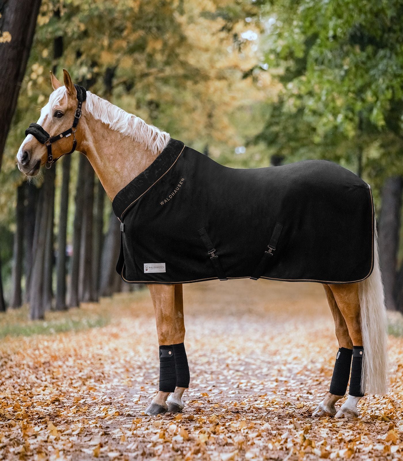 Waldhausen Mordern Rose Fleece Dækken - Black/Gold