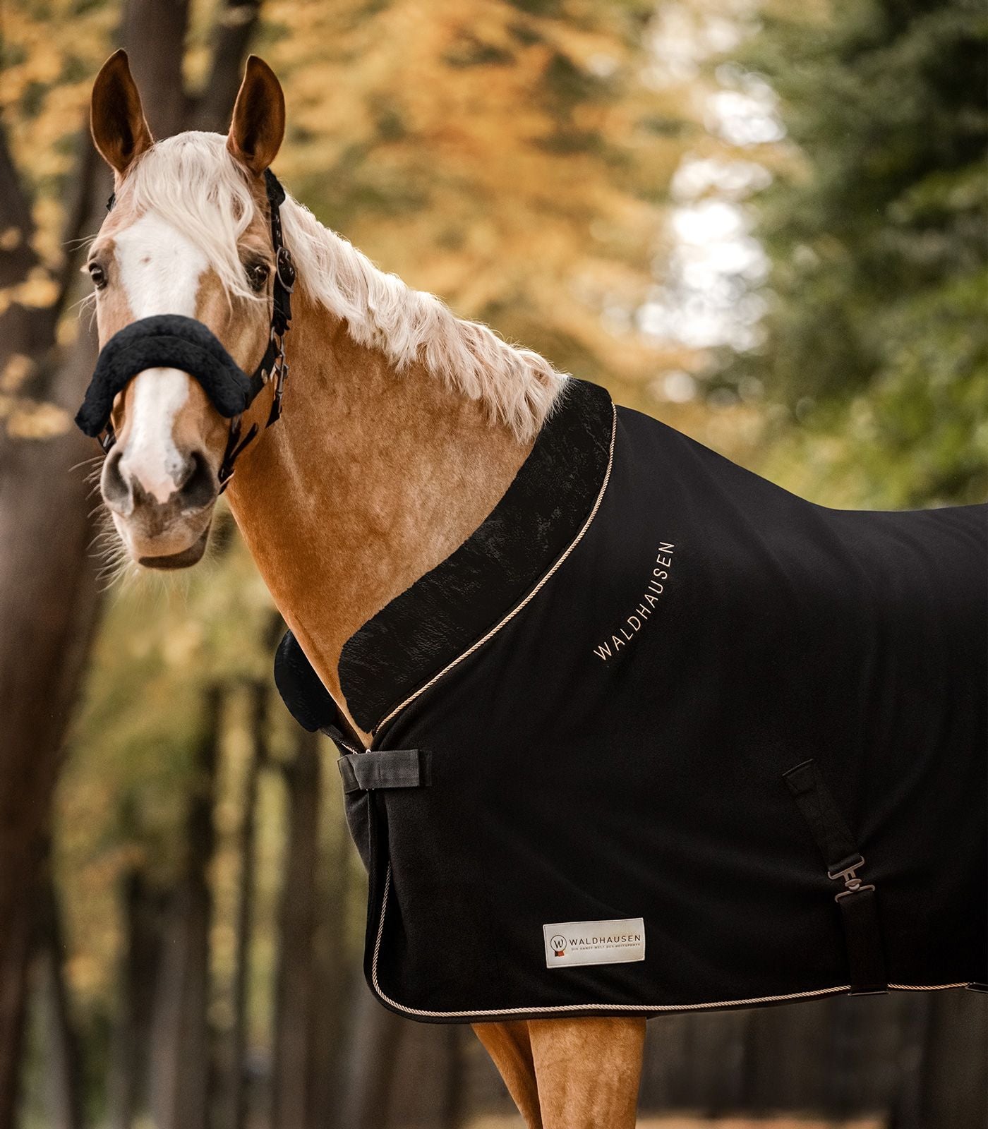 Waldhausen Mordern Rose Fleece Dækken - Black/Gold