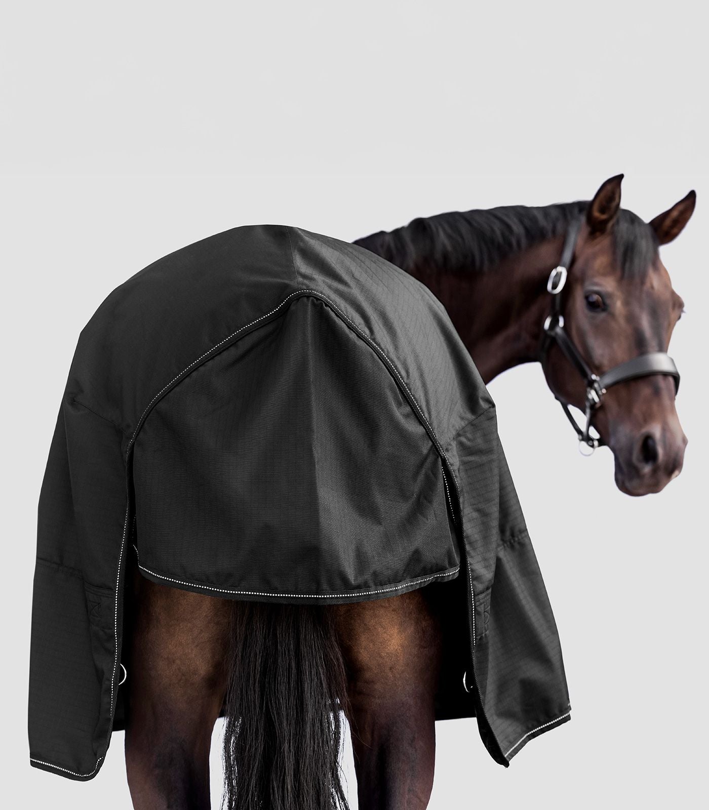 Waldhausen Nordic Regndækken - Black
