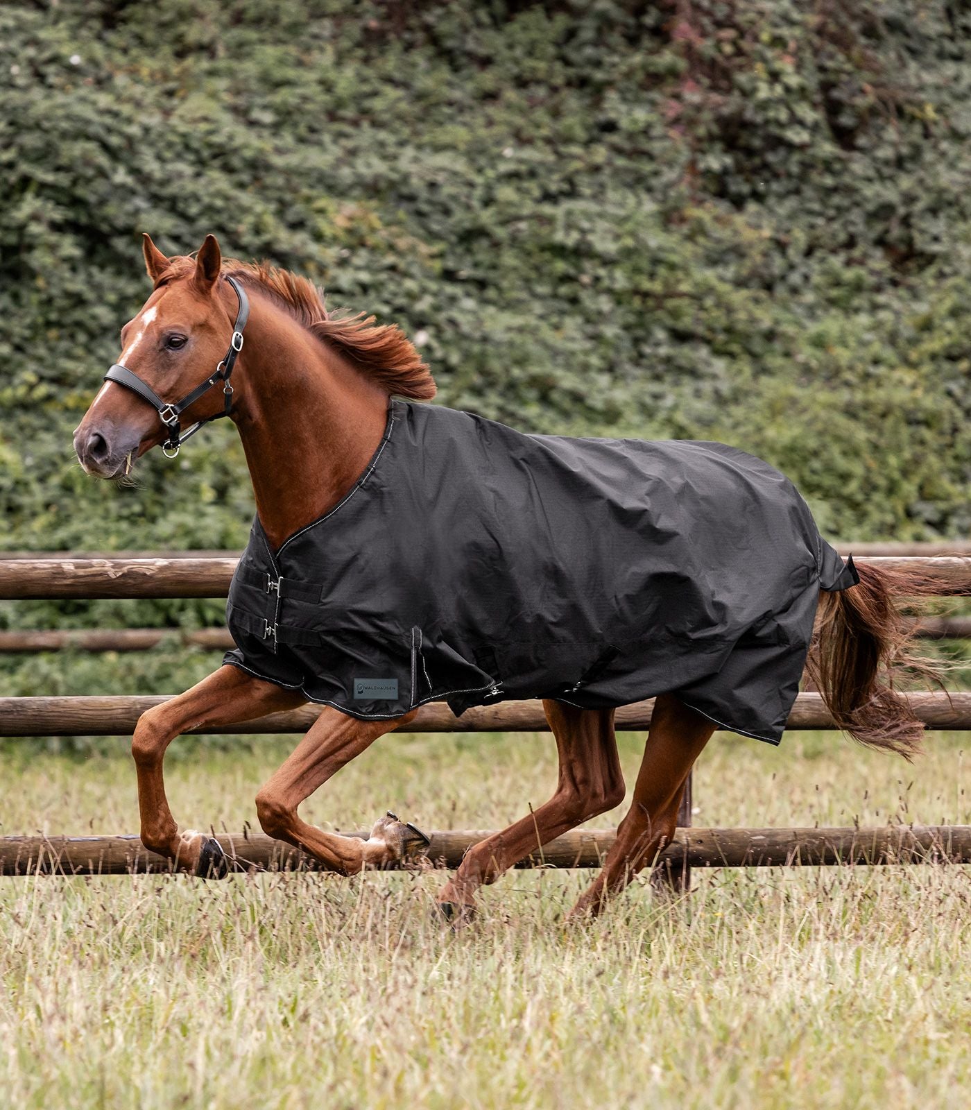 Waldhausen Nordic Regndækken - Black