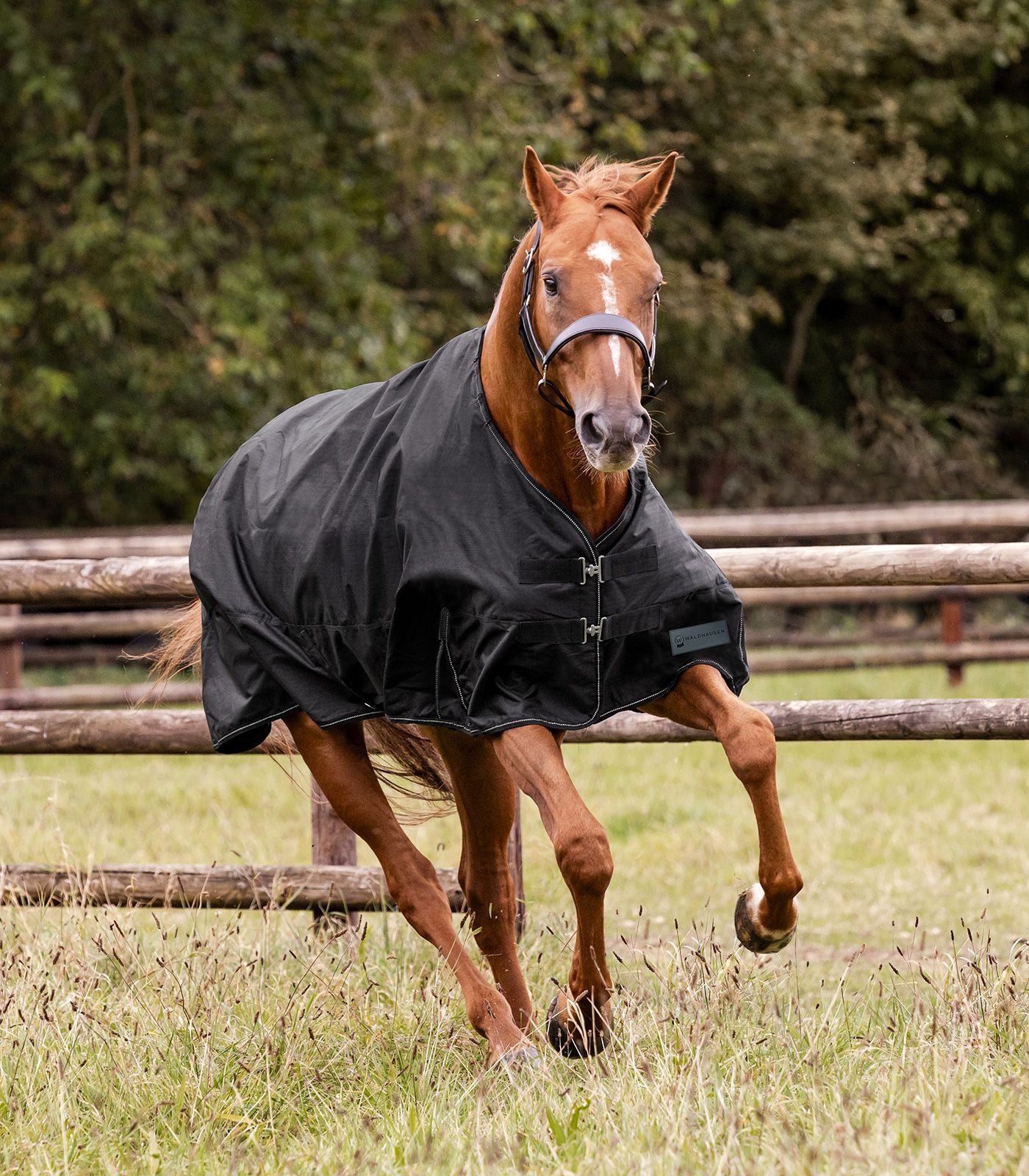 Waldhausen Nordic Regndækken - Black