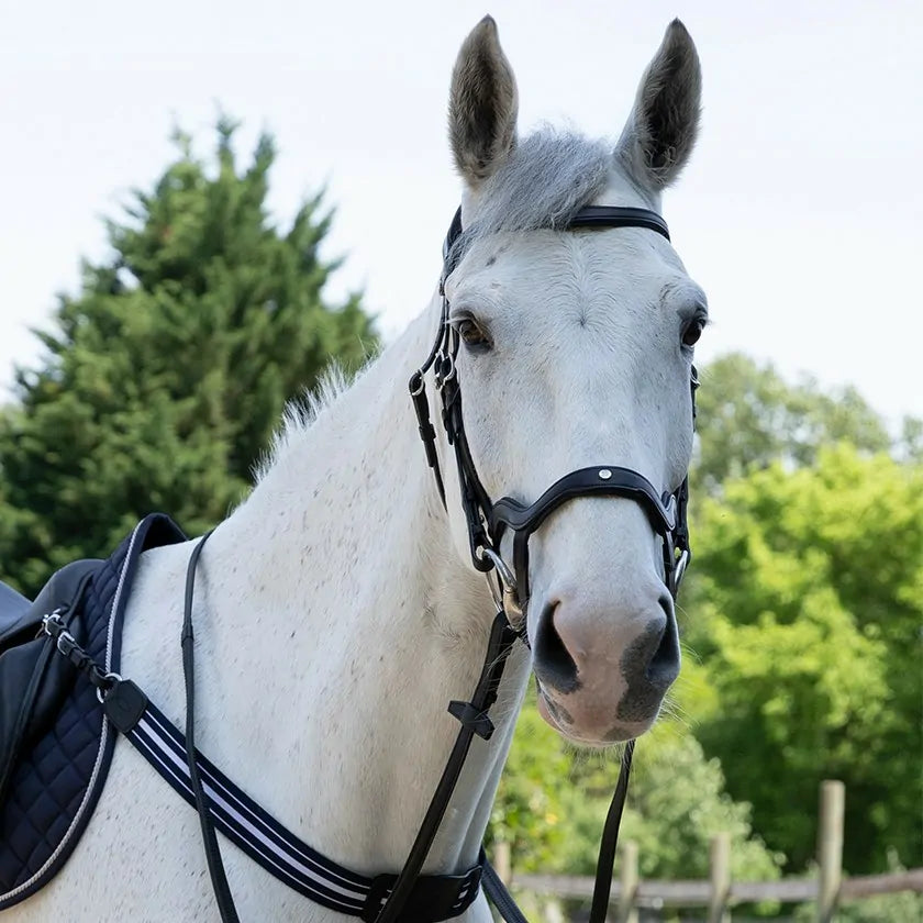 Antares Precision Trense M. Y- Næsebånd - Sort
