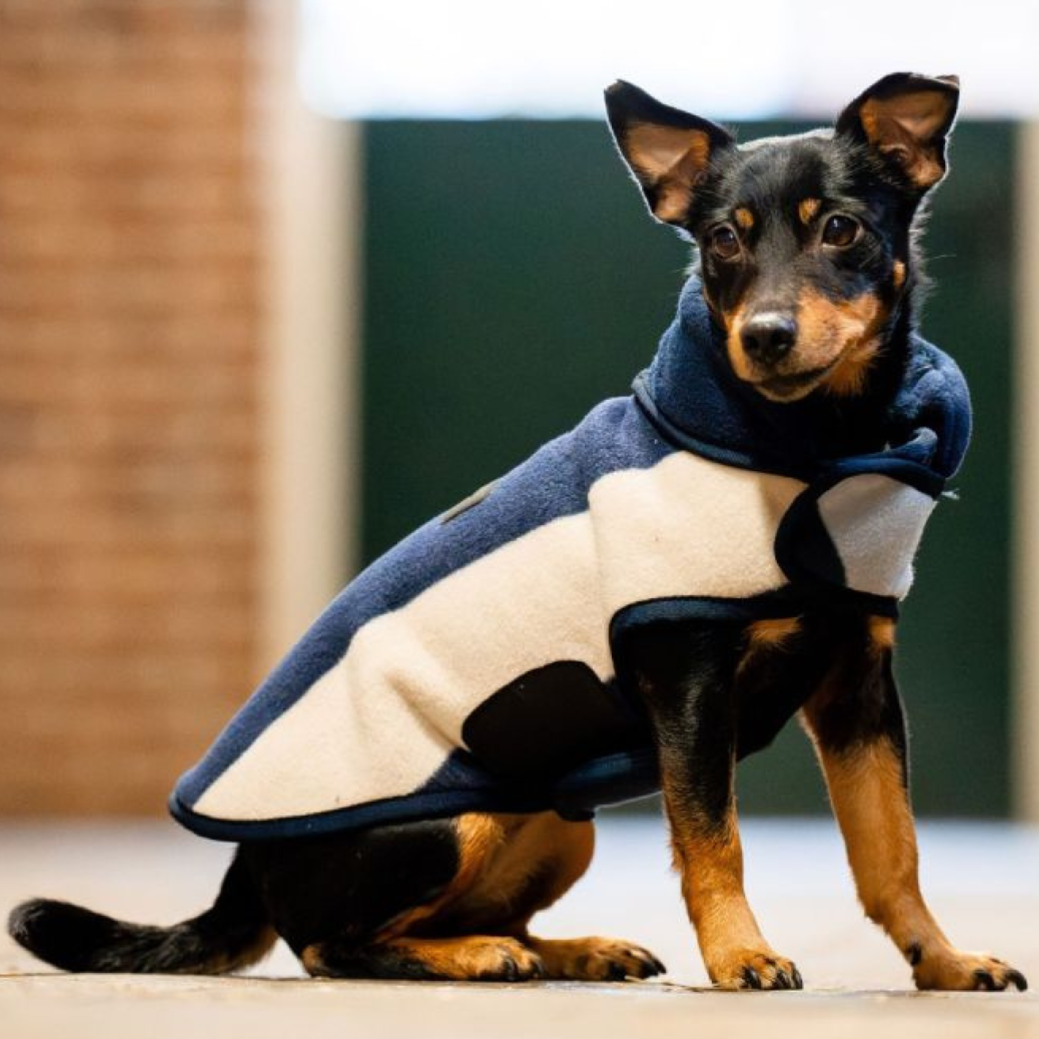 Horseware Signature Fleece Hundedækken - Witney Navy