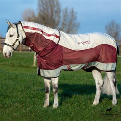 Rambo Summer Series m. Disc-Front - Flere Farver