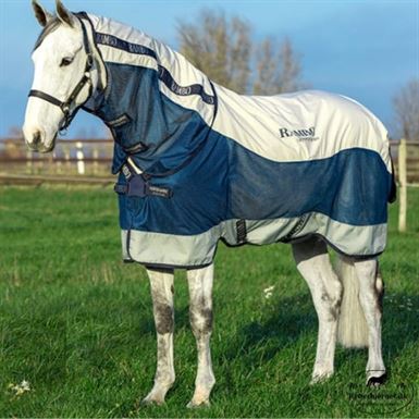 Rambo Summer Series m. Disc-Front - Flere Farver