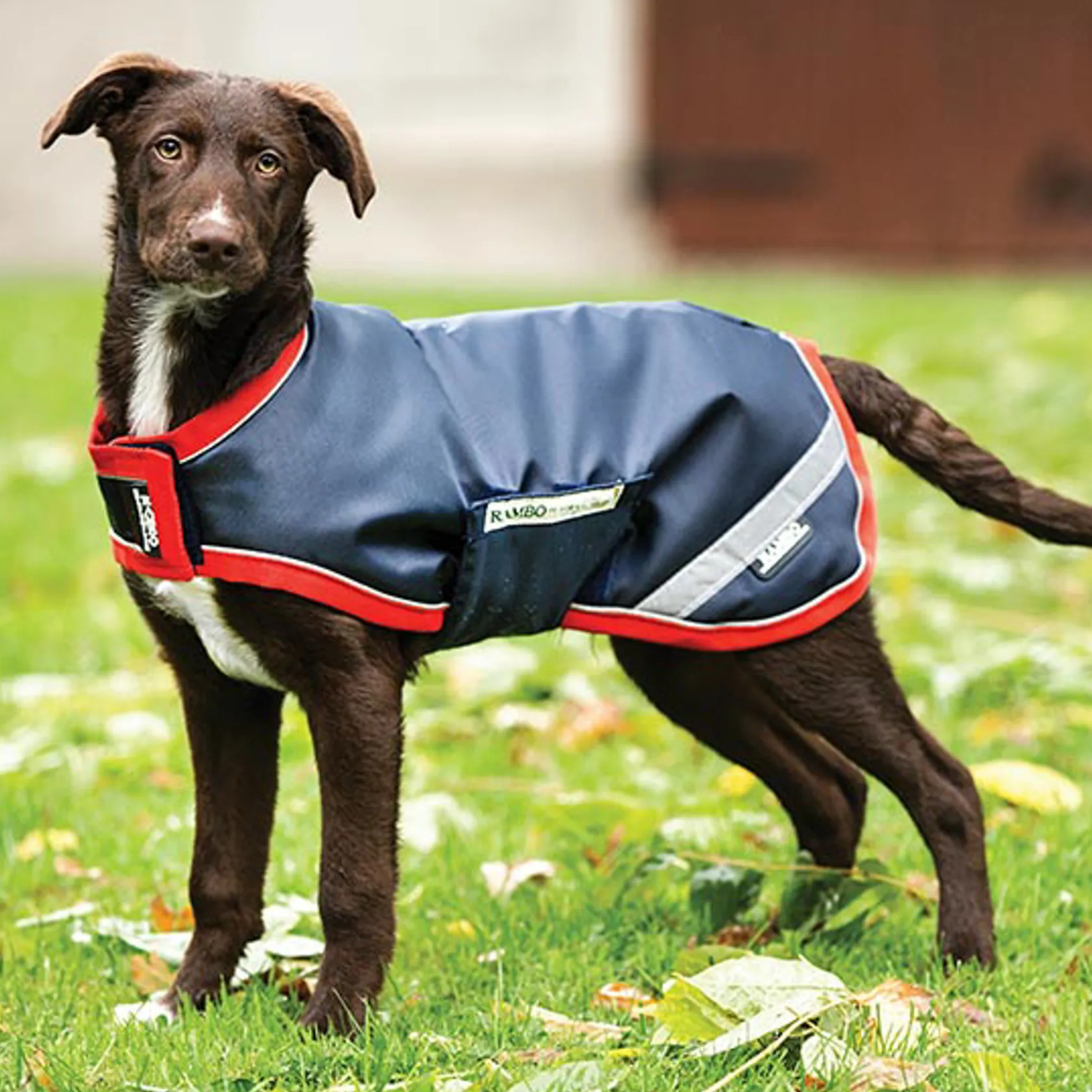 Rambo waterproof dog rug 100g