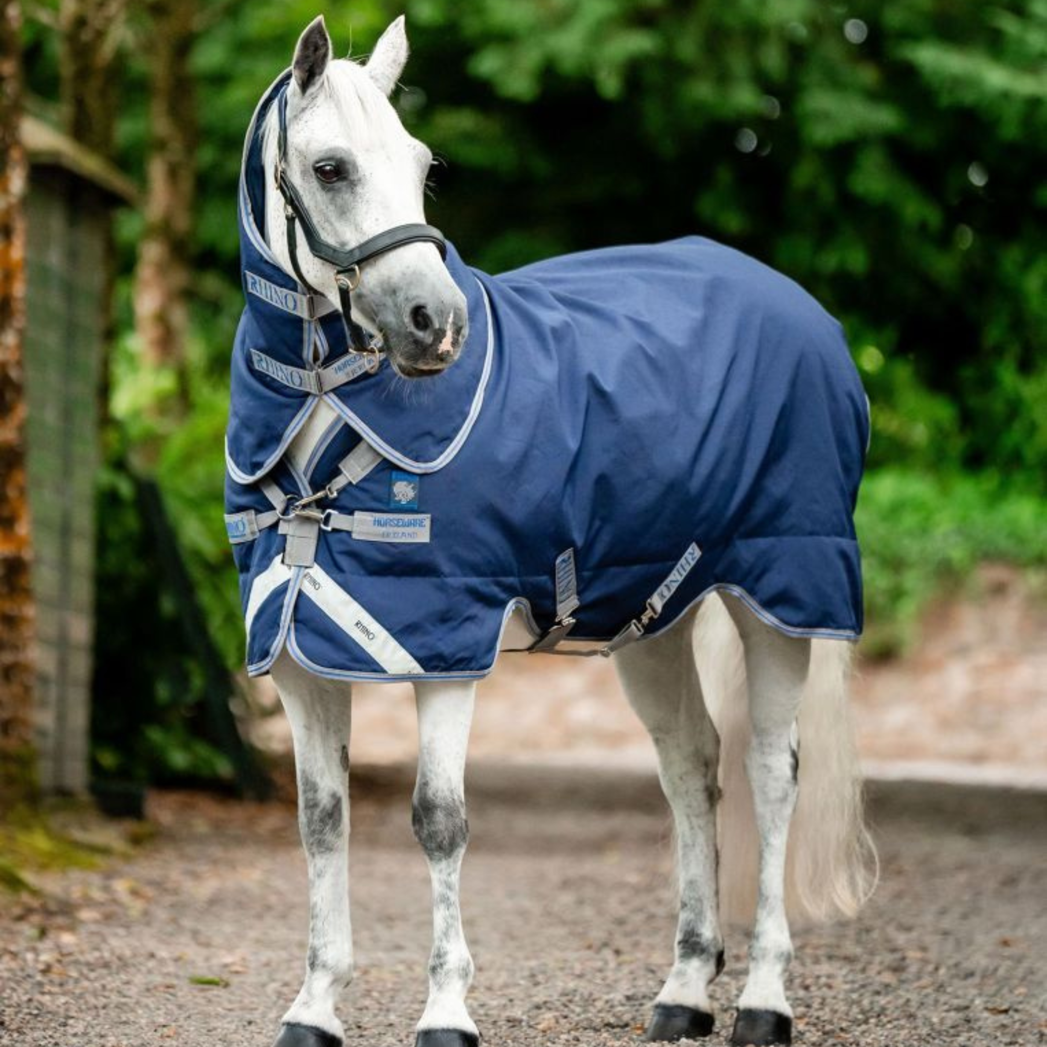 Rhino Plus Pony T/O Dækken - 250g