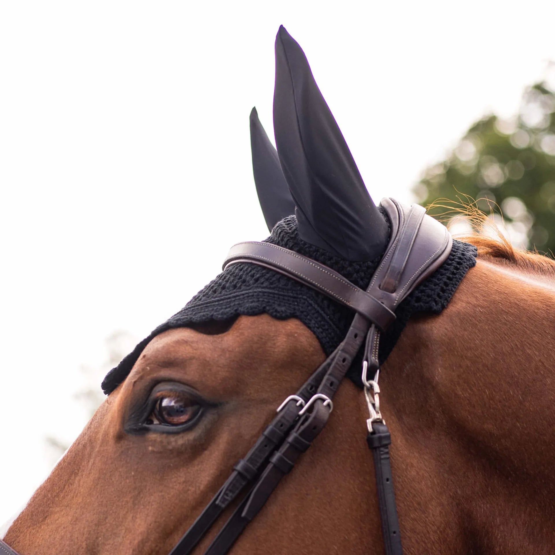 Samshield FlyShield Swarovski Hut