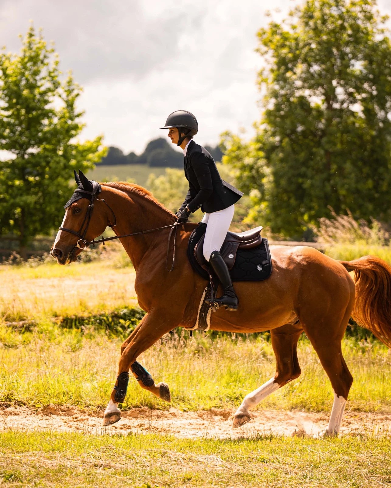Samshield FlyShield Swarovski Hut