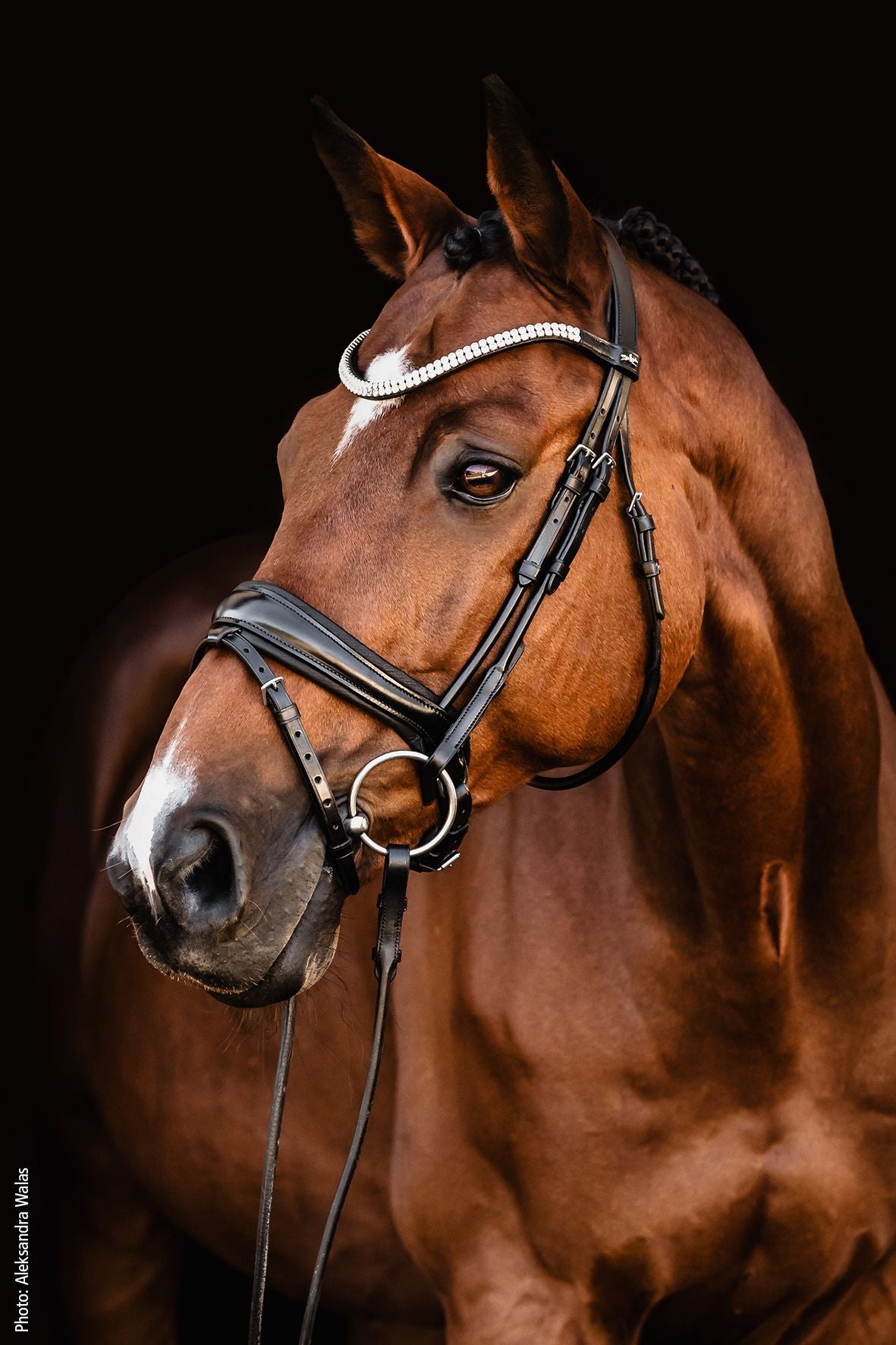 Schockemöhle Isabell Werth Johnny Rundsyet Trense