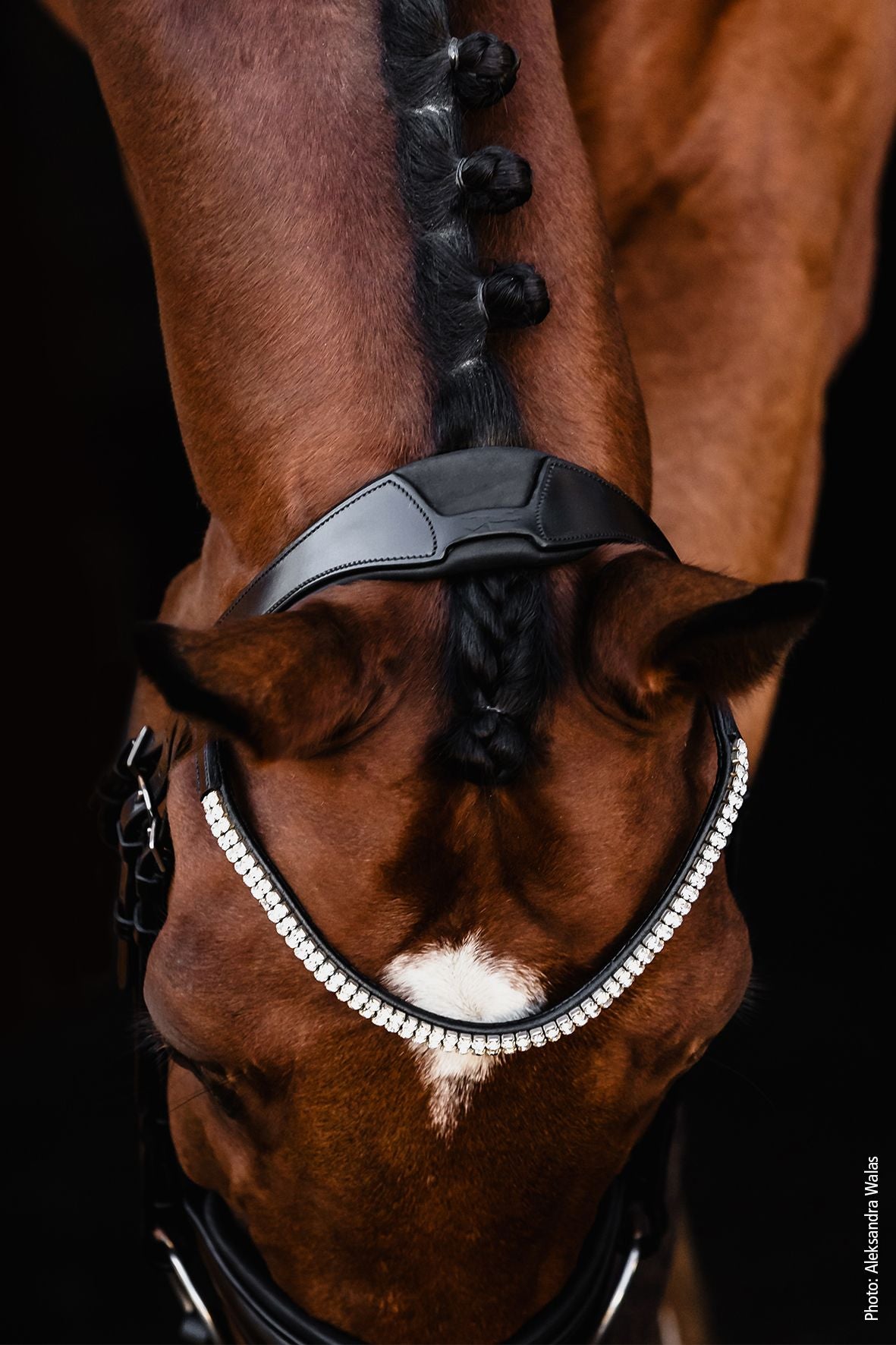 Schockemöhle Isabell Werth Johnny Rundsyet Trense