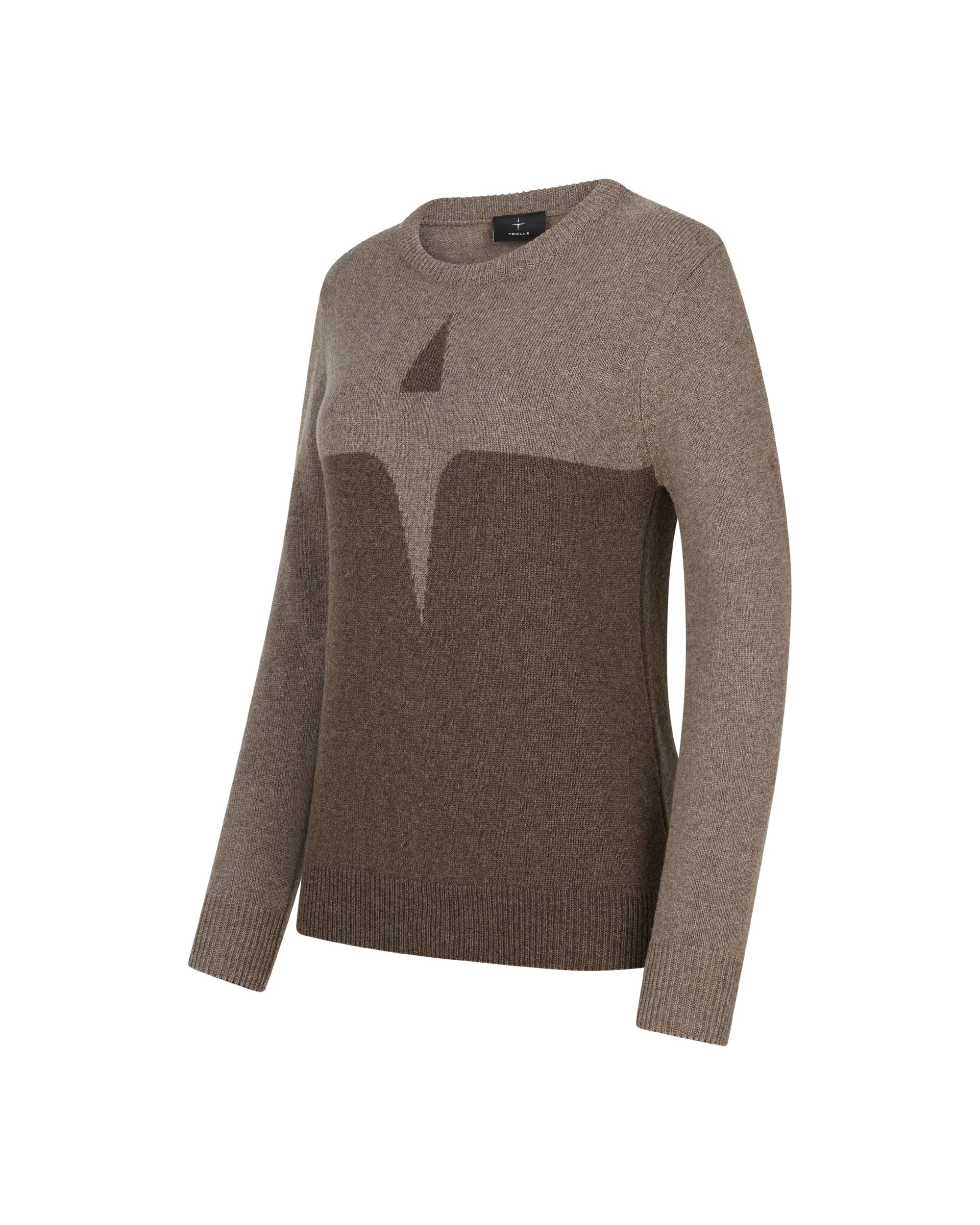 Trolle Projetct Cashmere & Uld Star logo Sweater