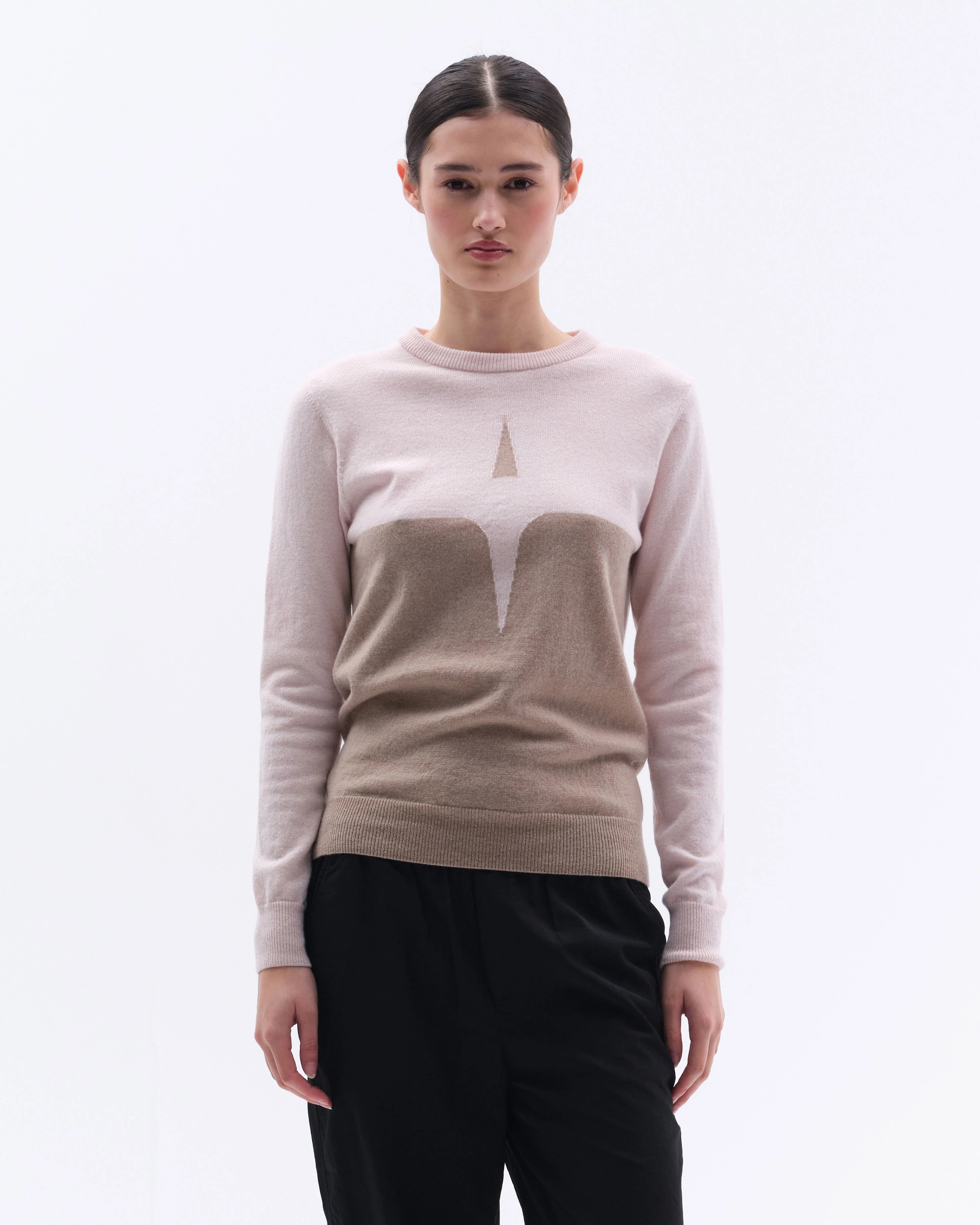 Trolle Projects Cashmere & Uld Star Logo Sweater