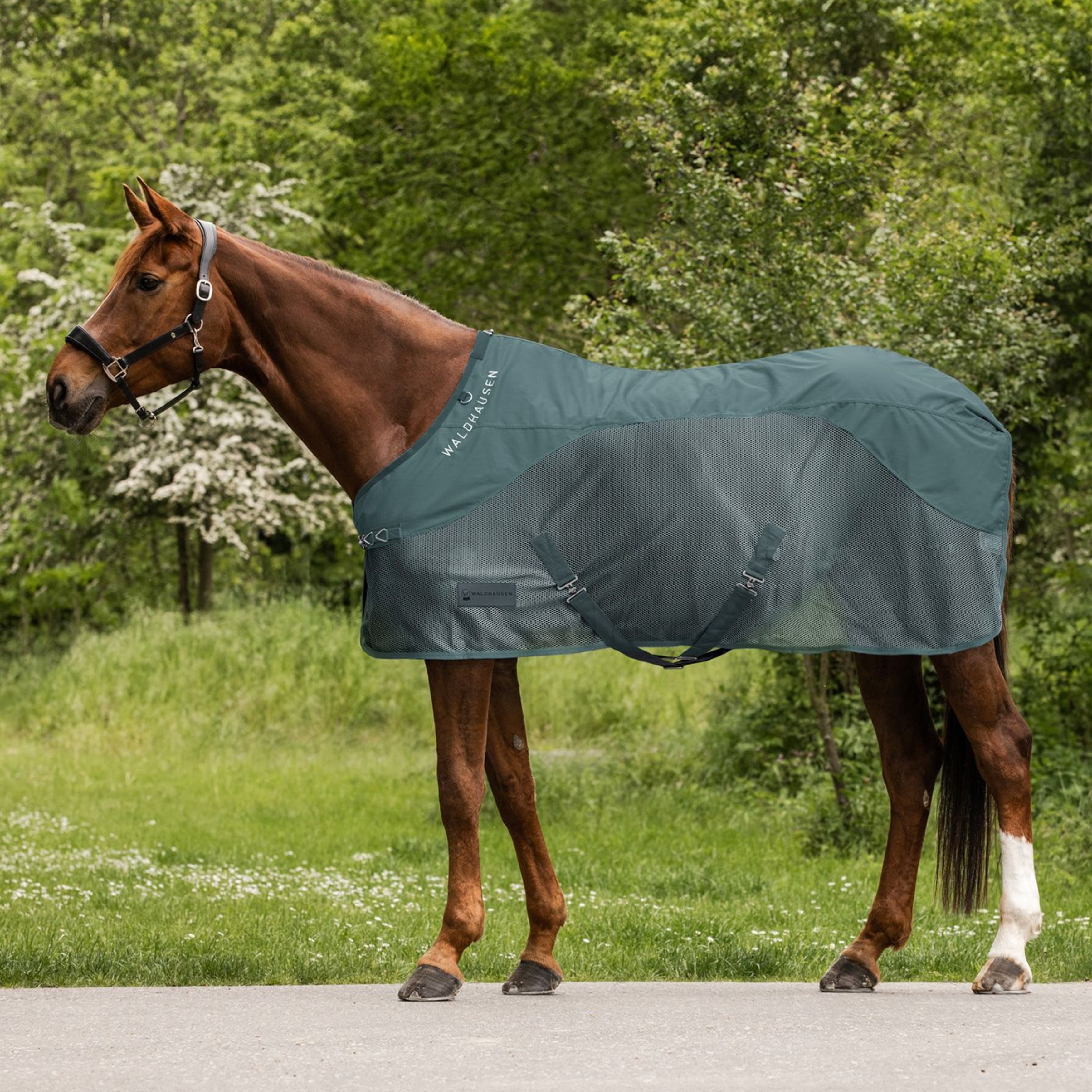 Waldhausen Comfort Insektdækken