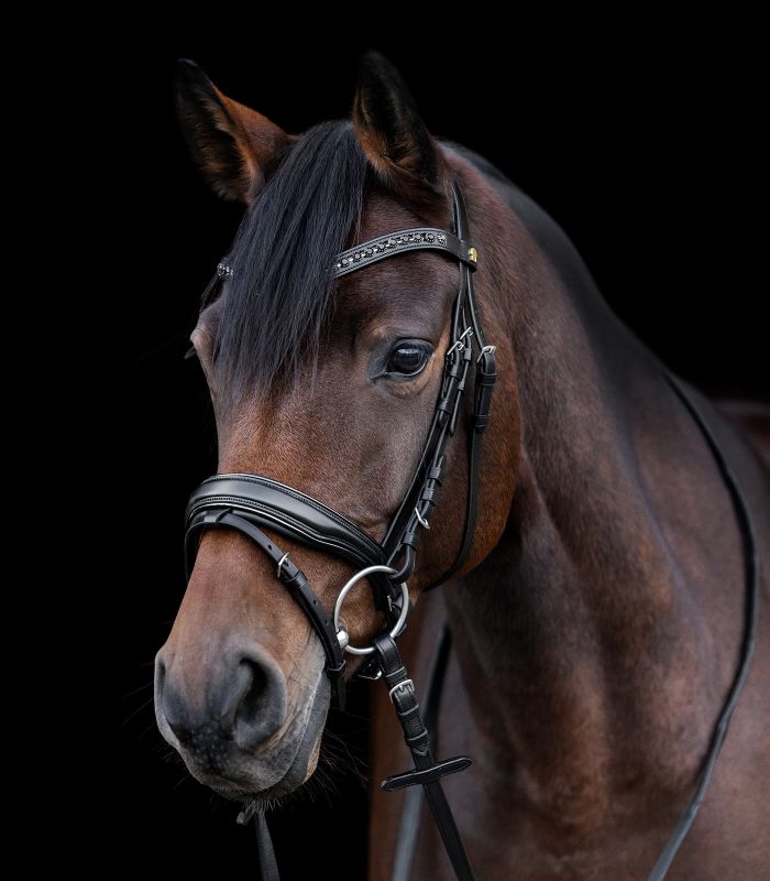 Waldhausen S-Line Blackshine m. Krystaller