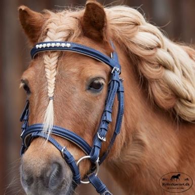 Waldhausen Unicorn Trense - Navy