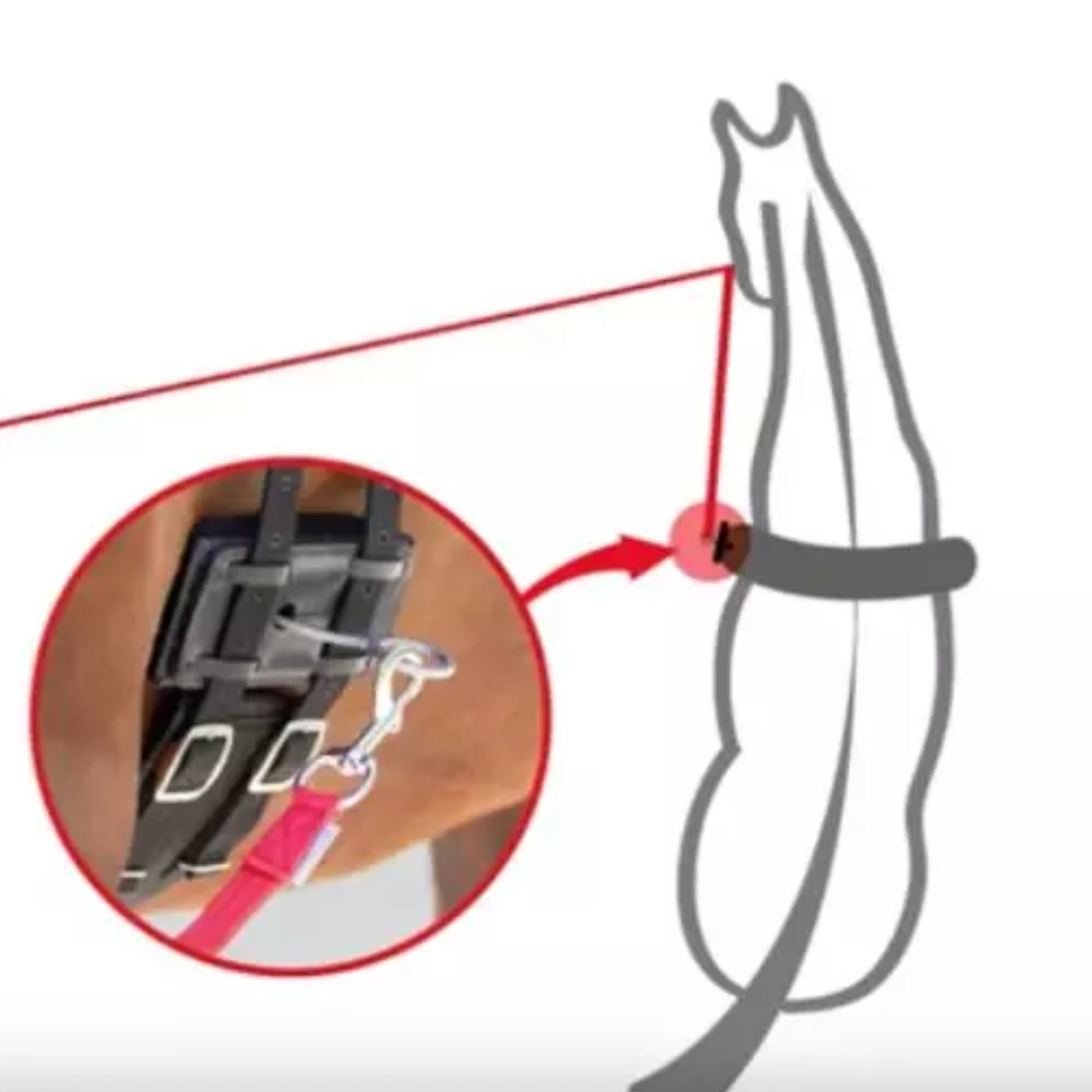 Waldhausen Longe Equibender