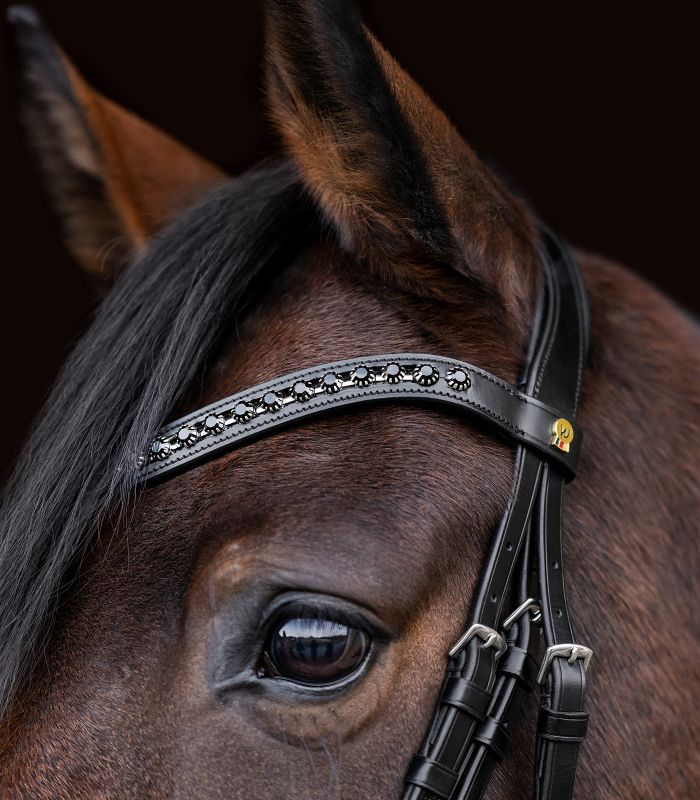 Waldhausen S-Line Blackshine m. Krystaller
