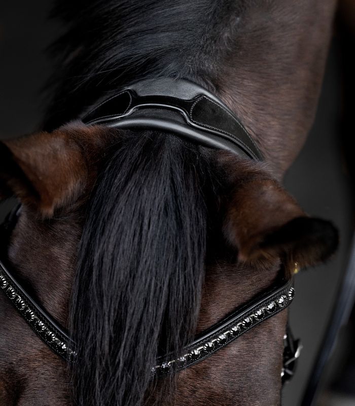 Waldhausen S-Line Blackshine m. Krystaller