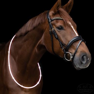 Waldhausen LED Halsring 150 cm - Hvid