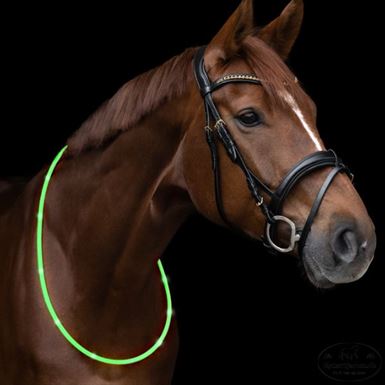 Waldhausen LED Halsring 150 cm - Grøn
