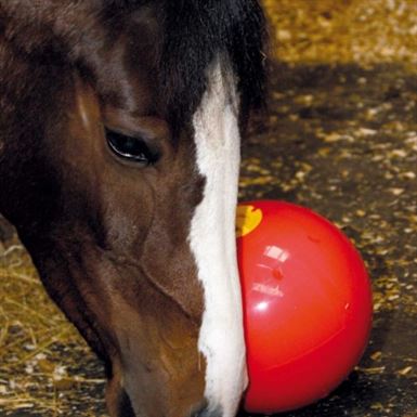 Likit Snak-a-Ball Rød
