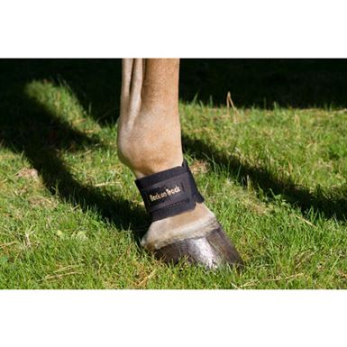 Back On Track Kodeleds Pastern Wrap