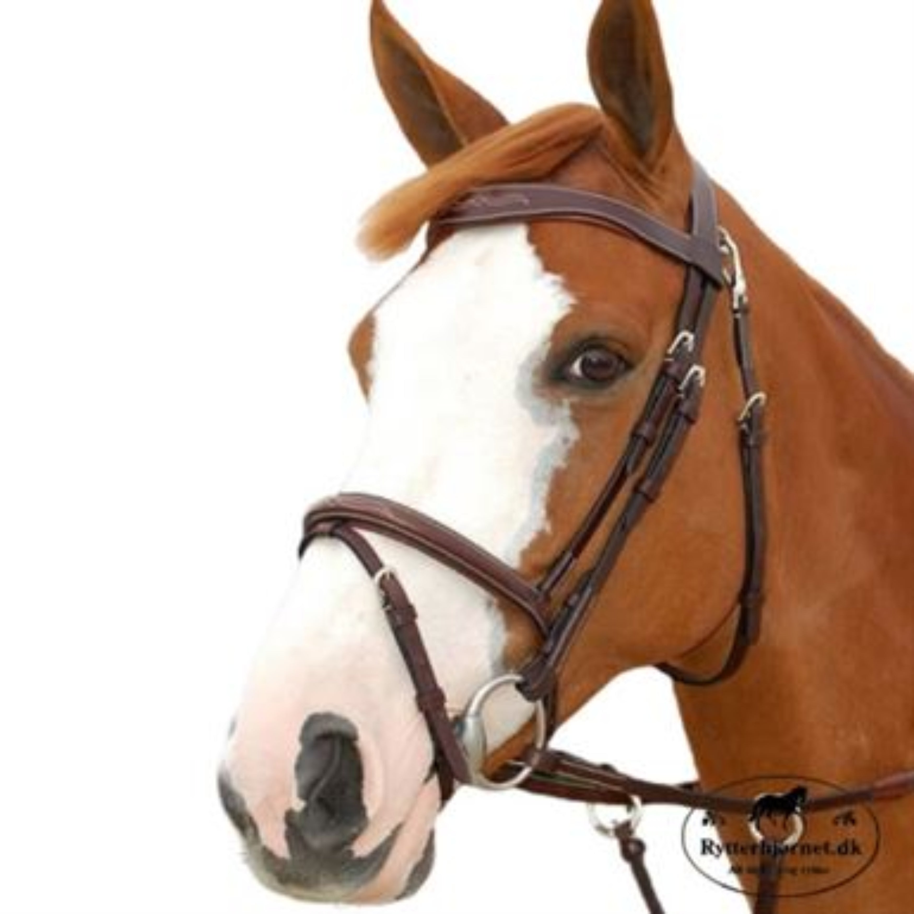 Dyon Working Fancy Trense