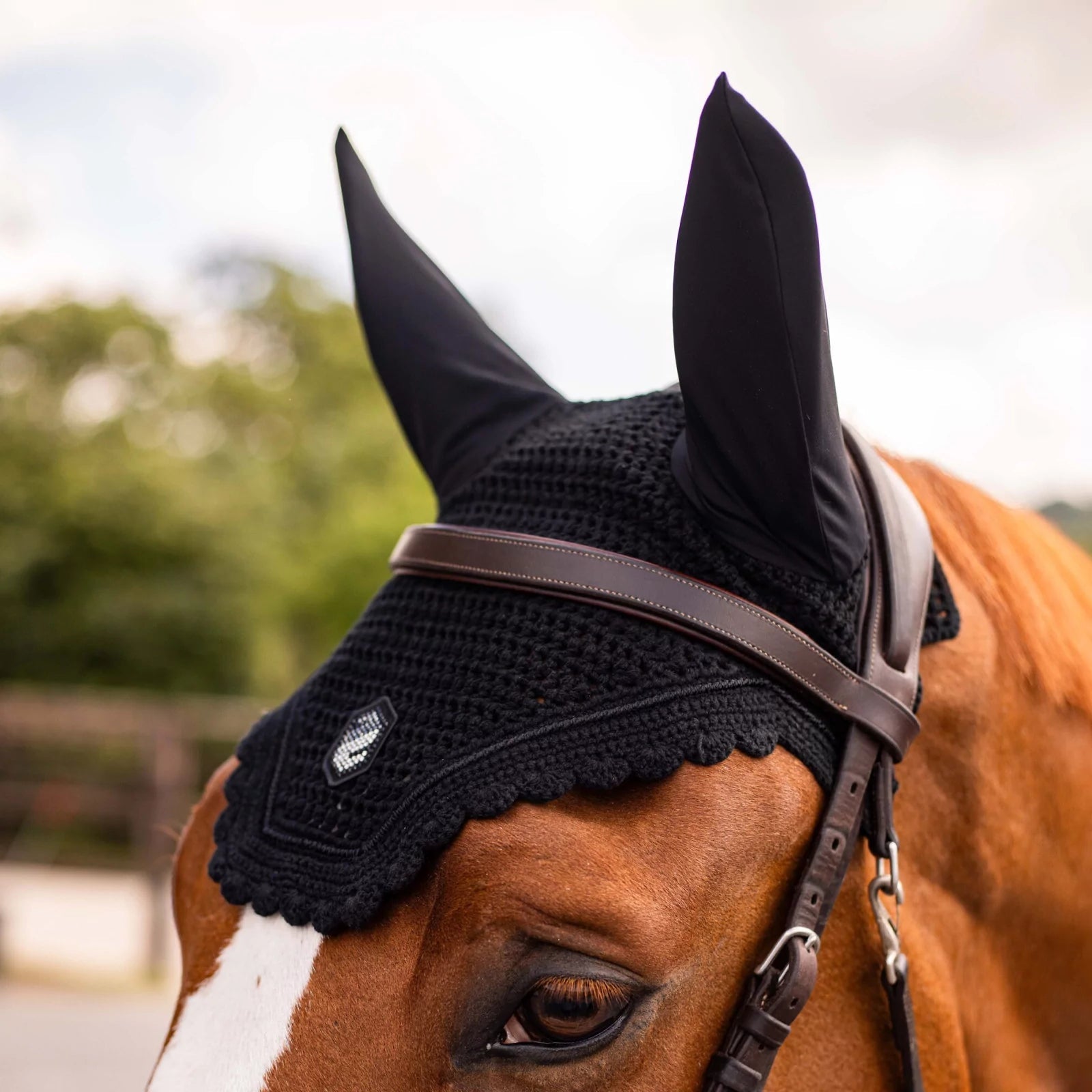 Samshield FlyShield Swarovski Hut