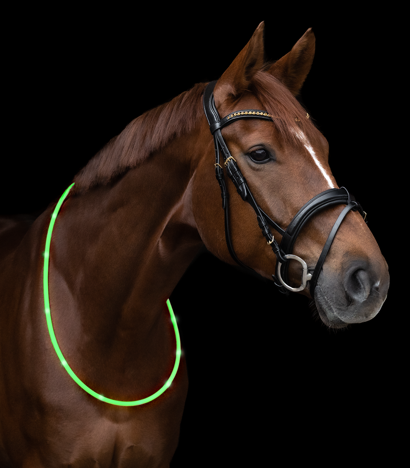 Waldhausen LED Halsring 150 cm - Grøn