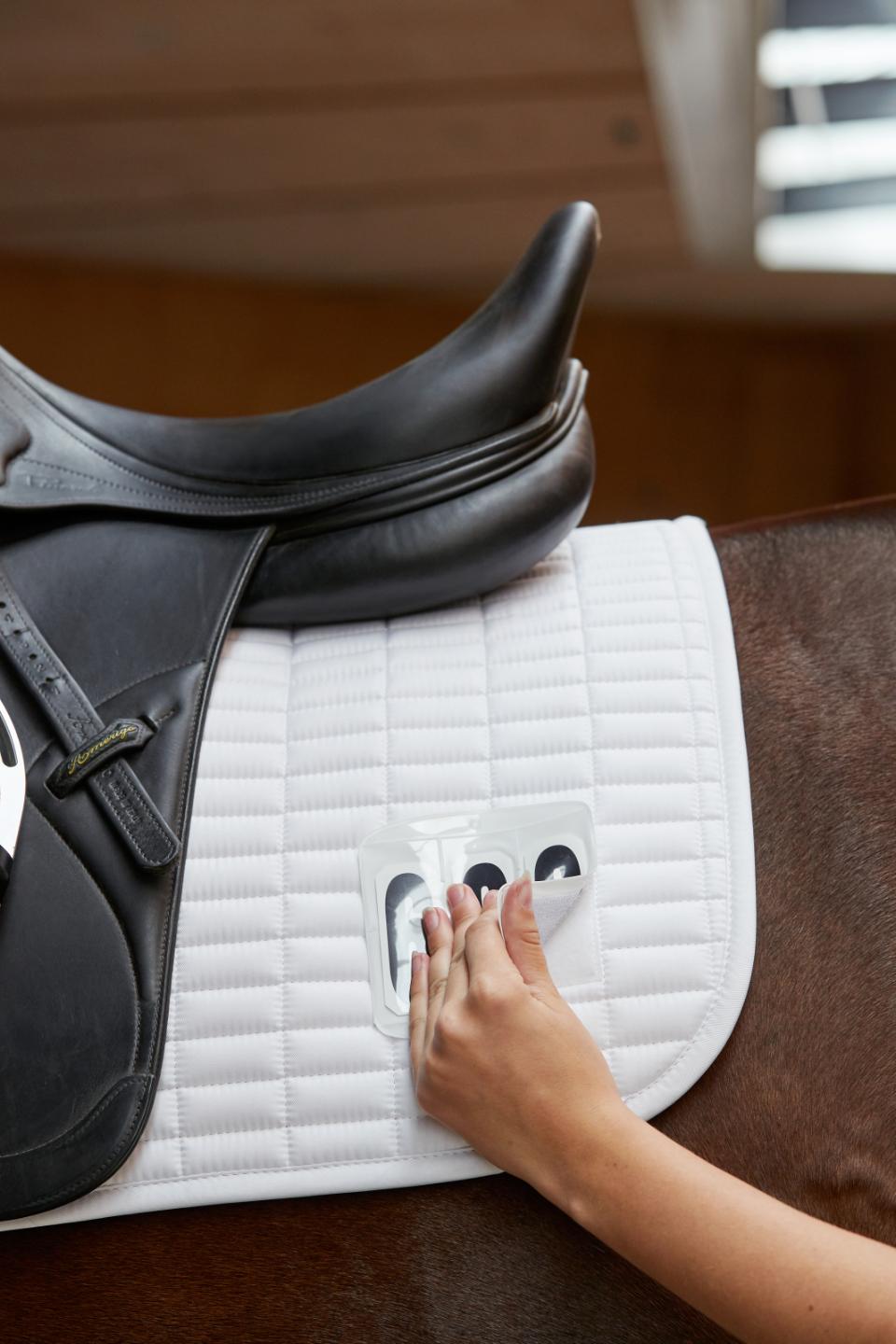 HorseGuard Nationality Springunderlag M. Nummer - Hvid